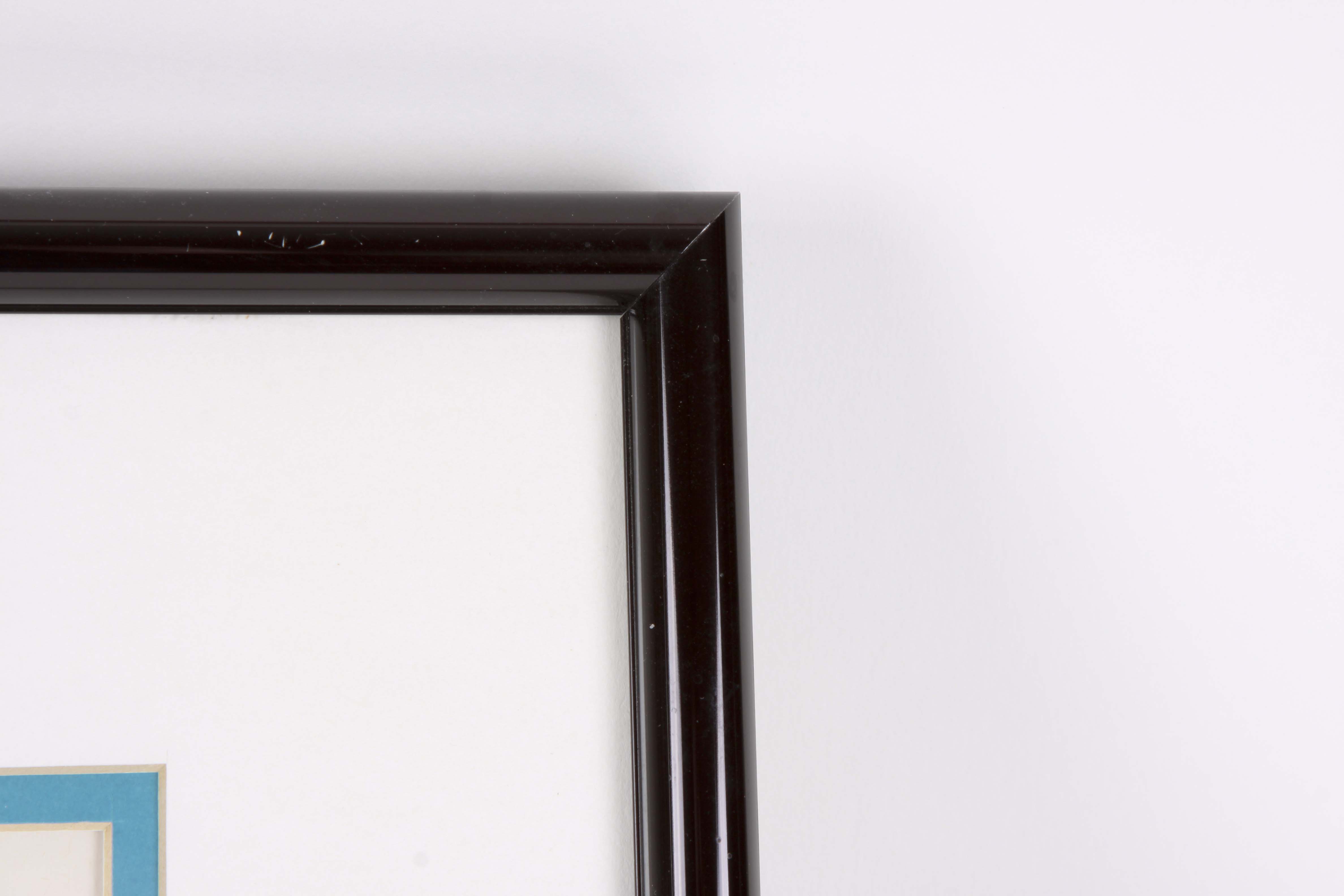 Warner Brother's Sericels