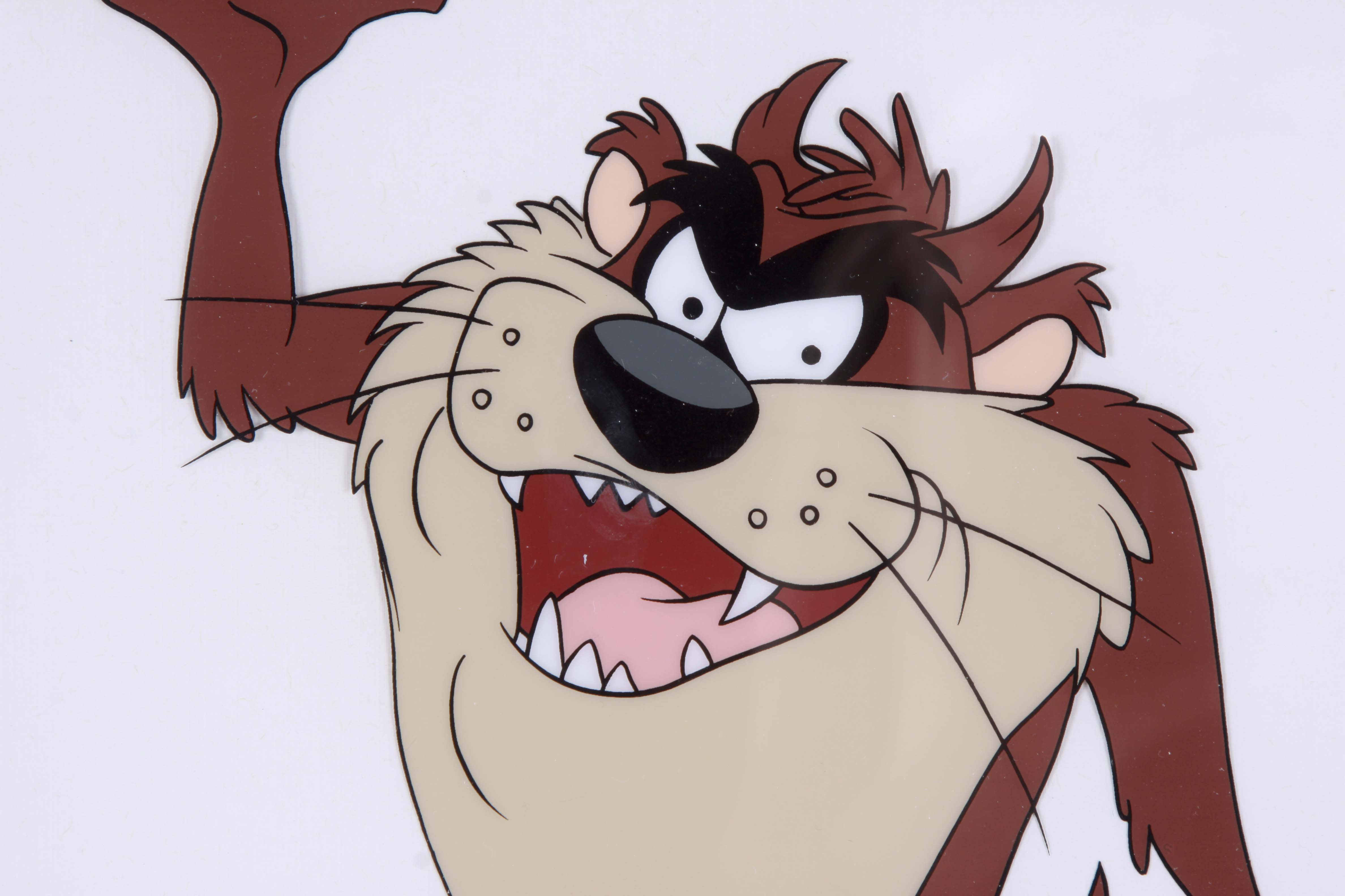 Warner Brother's Sericels