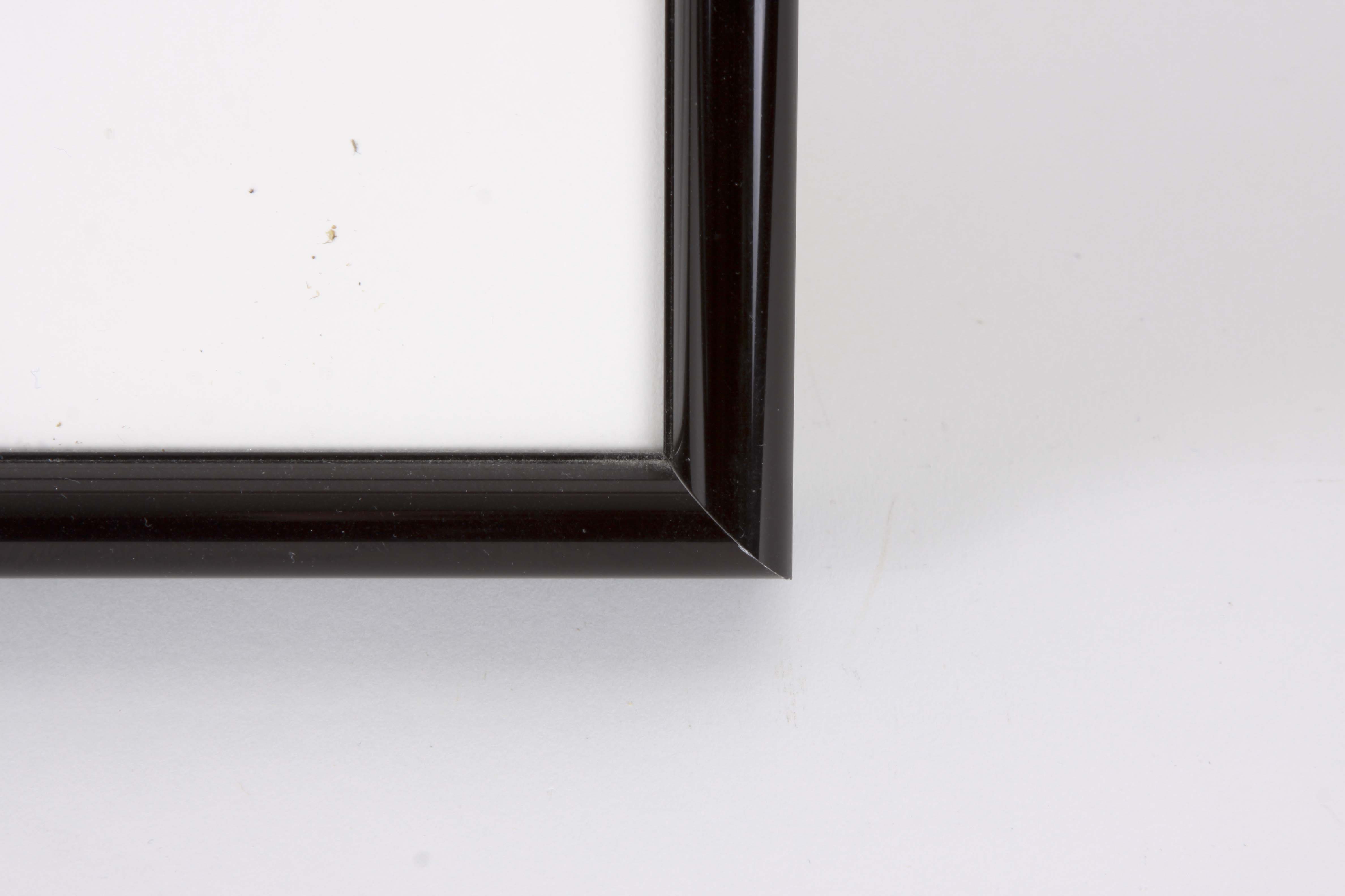 Warner Brother's Sericels