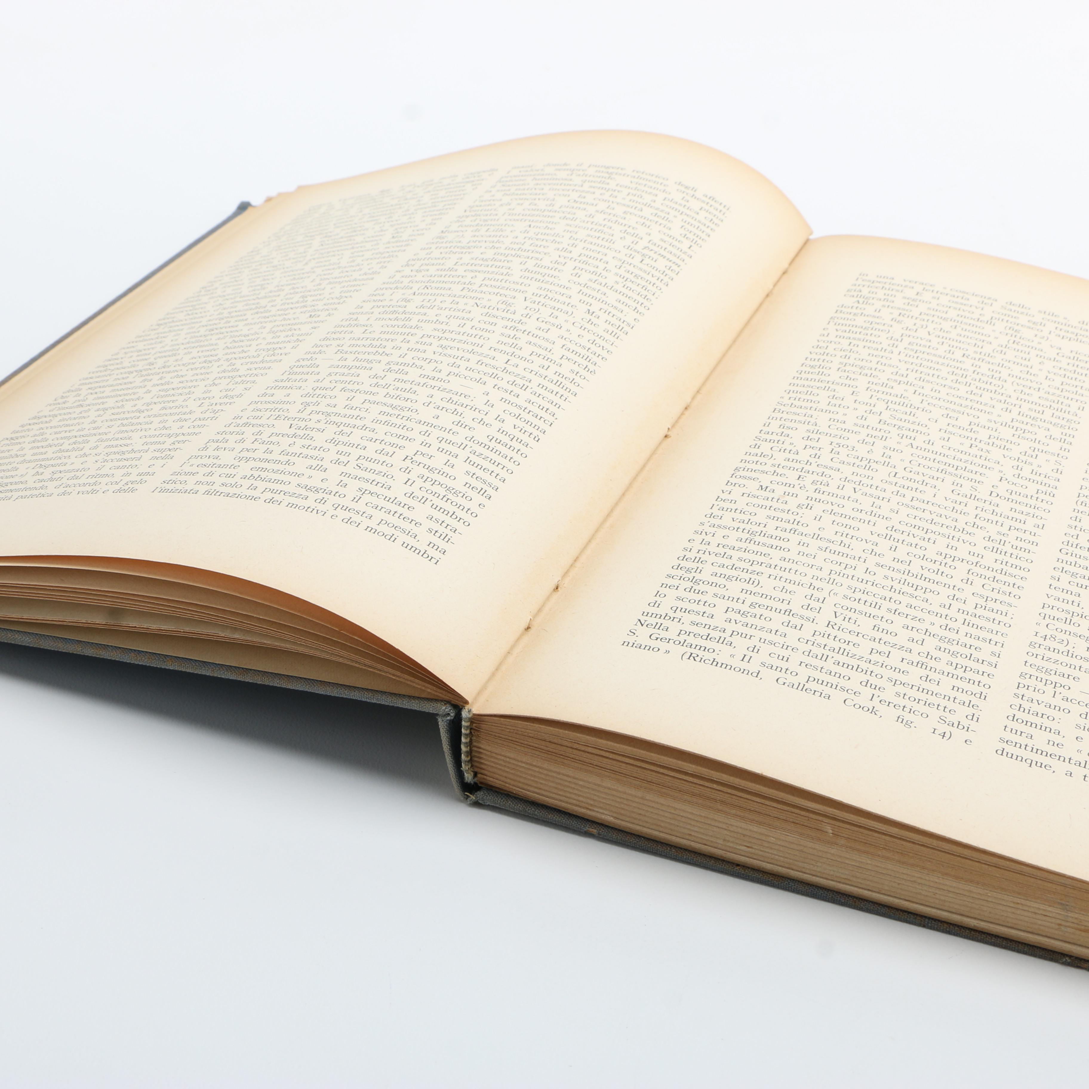 Assortment of Rene Groebli, Raphael Sanzio and Other Art Books