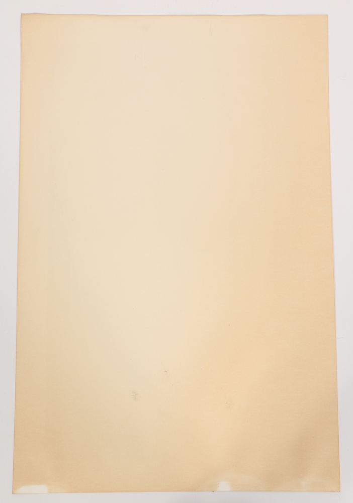 Jon Reich "Designer Robe I" Signed Limited Edition Offset Lithograph on Paper