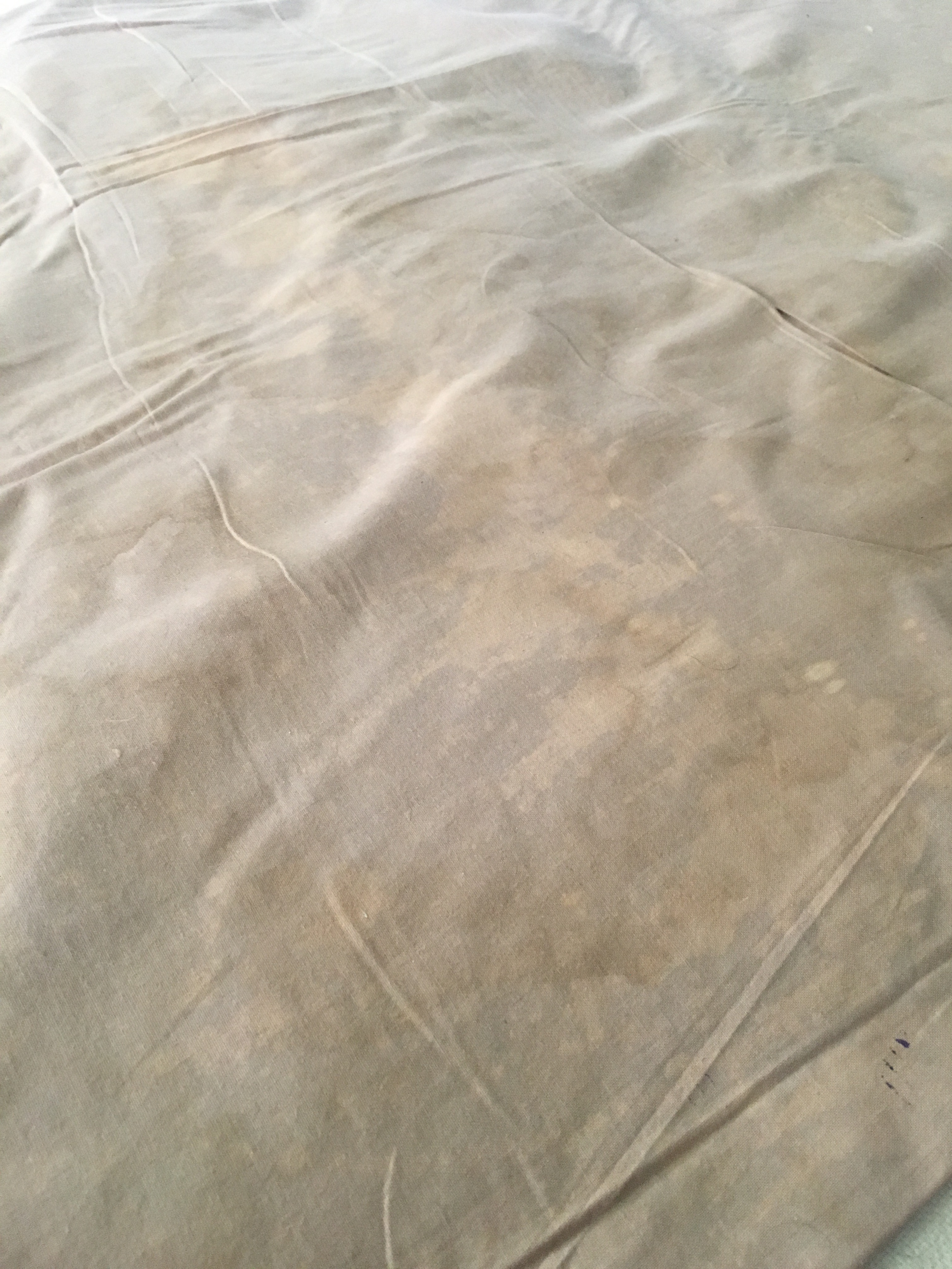 Tufted Chinese Aubusson-Style Area Rug