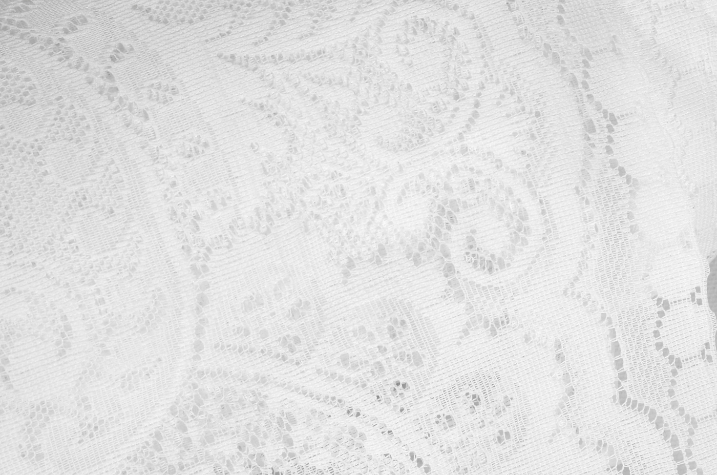 Sheer White Lace Drapery Fabric