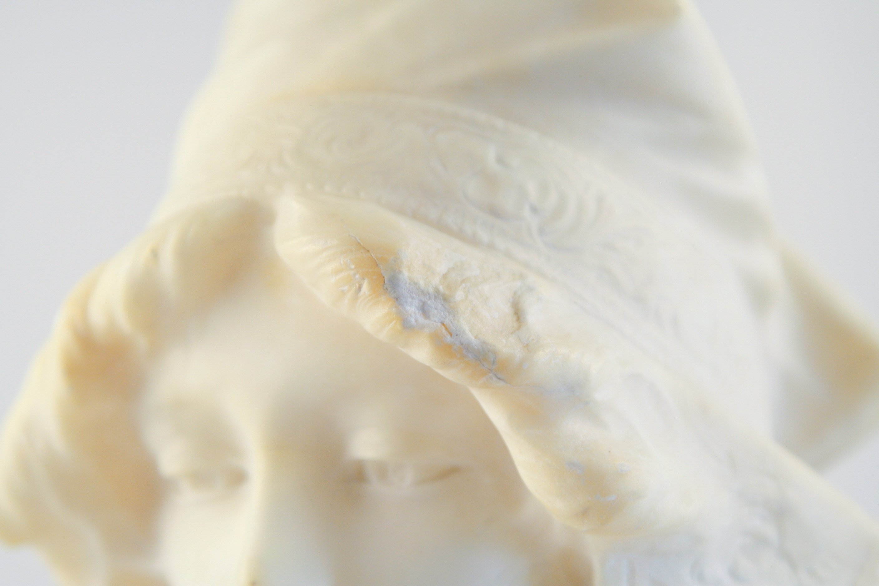 Late 19th Century G. Pochini Marble Bust of a Woman