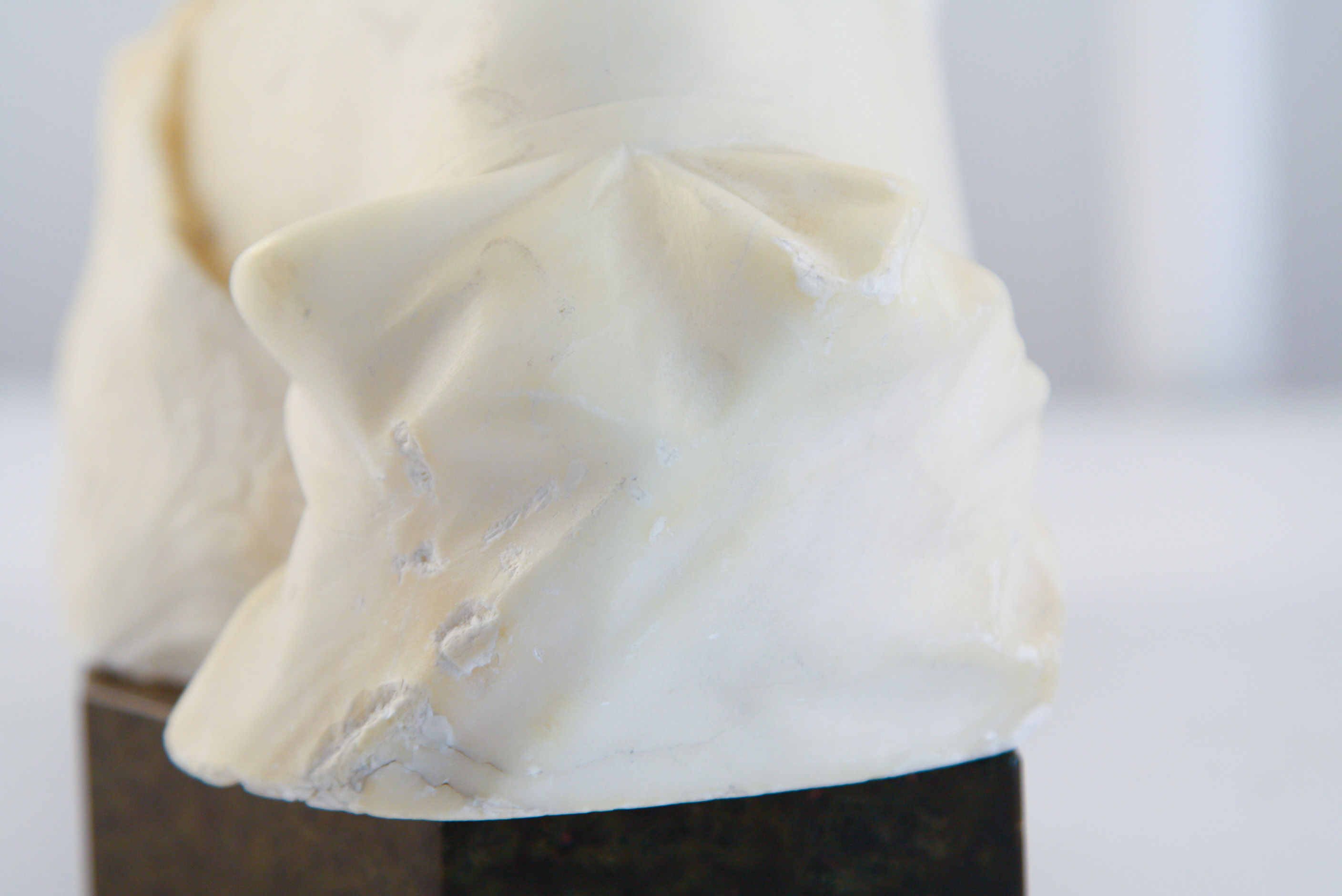 Late 19th Century G. Pochini Marble Bust of a Woman