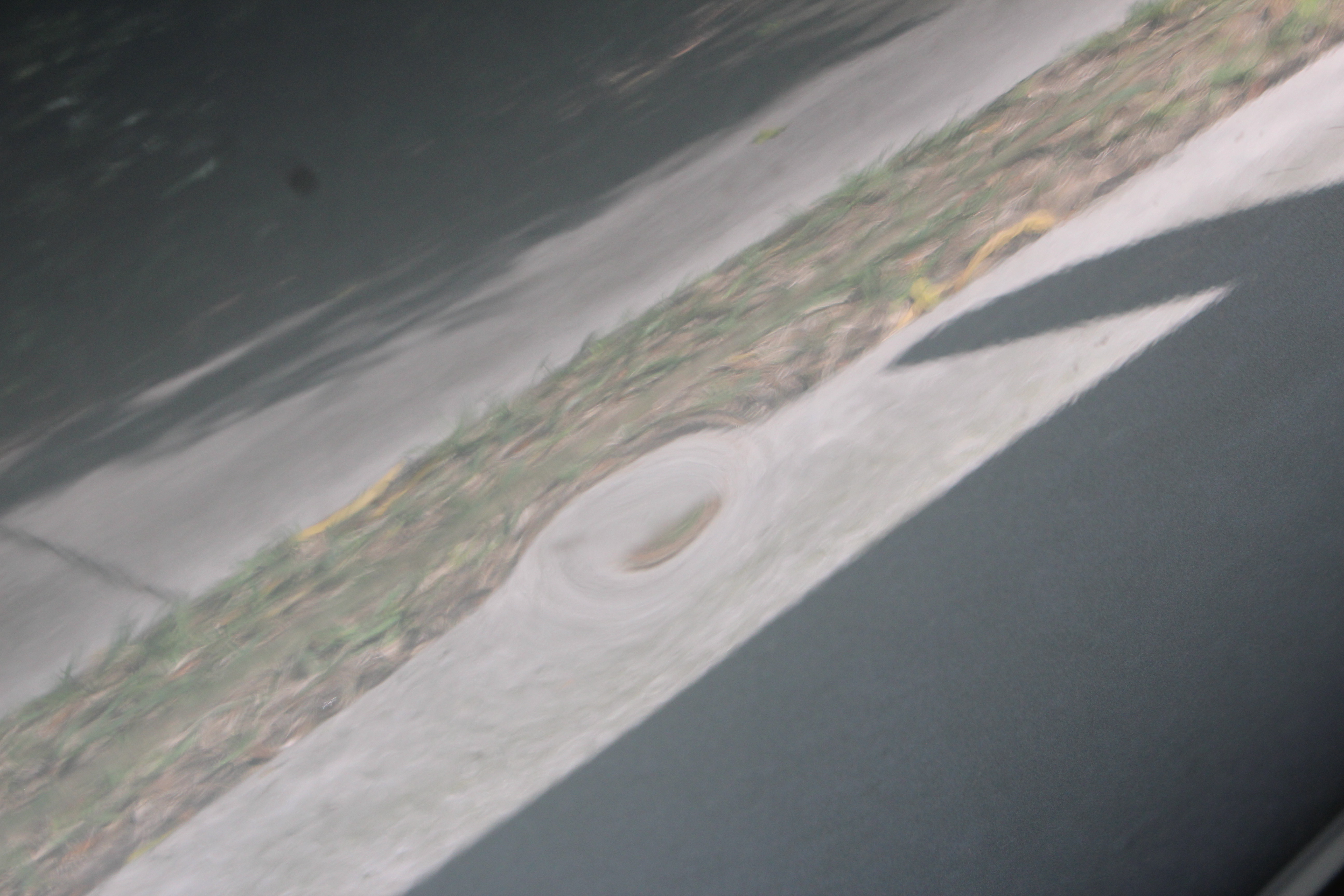 2006 Light Blue Toyota Avalon Sedan