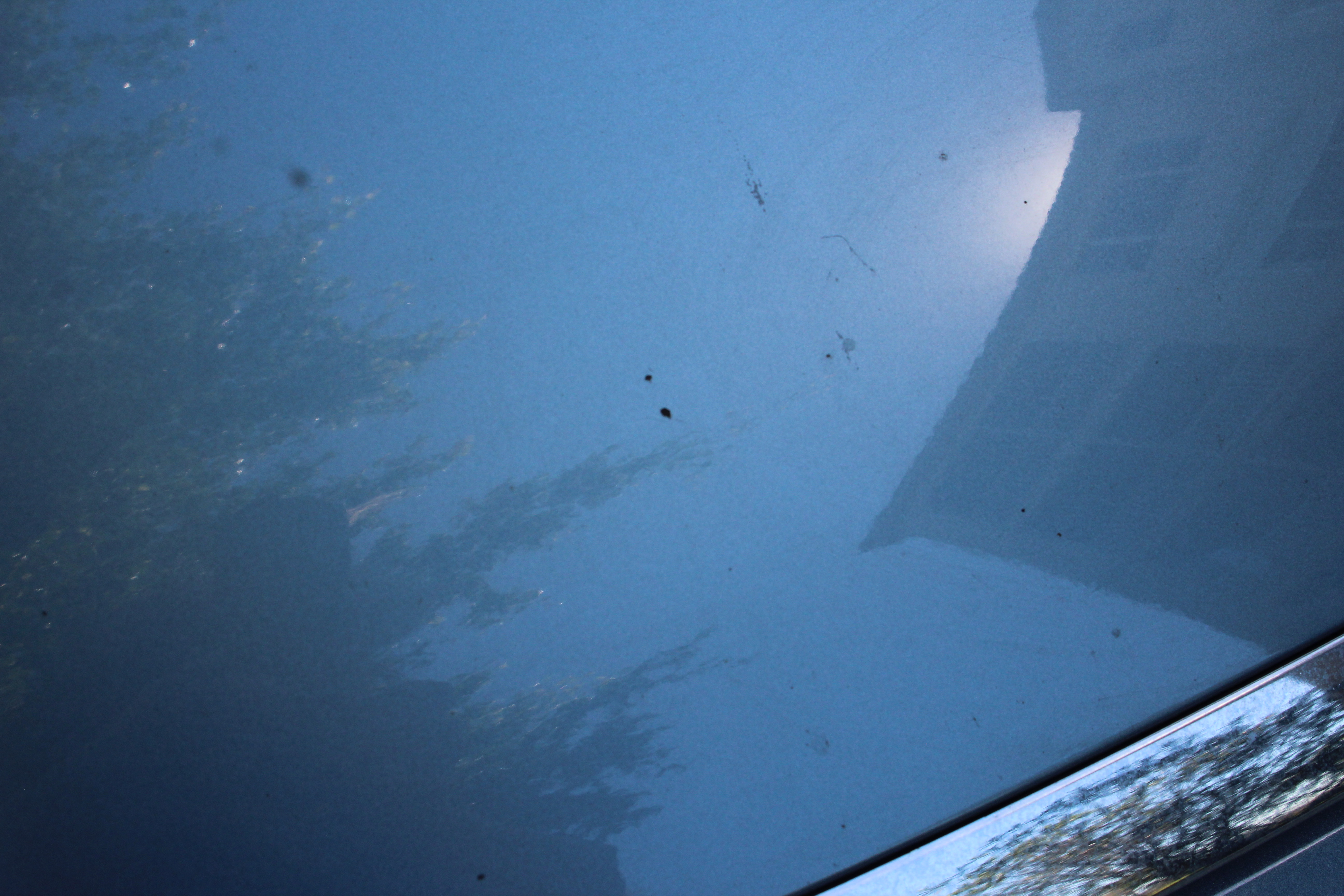 2006 Light Blue Toyota Avalon Sedan