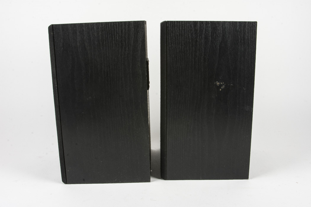 Bose Model 21 Speakers