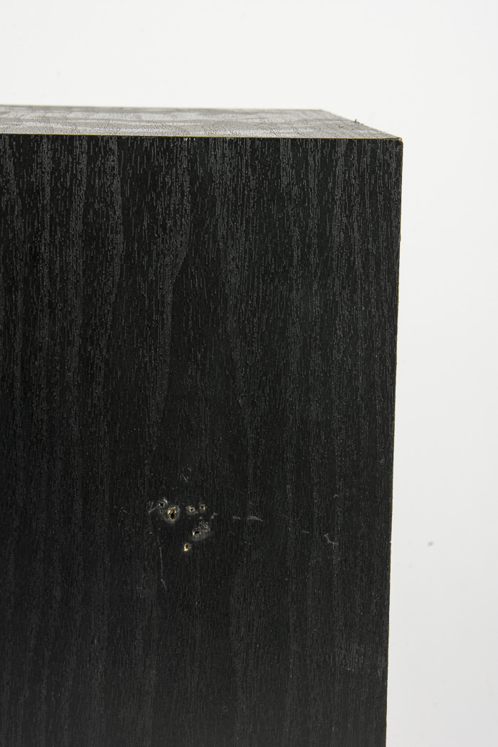 Bose Model 21 Speakers