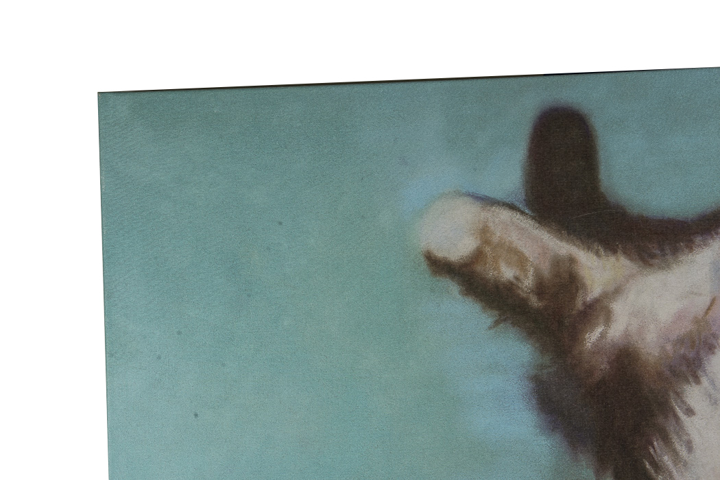 After Pat Saunders White Giclee Titled "Little Napper"