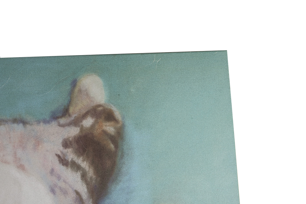 After Pat Saunders White Giclee Titled "Little Napper"