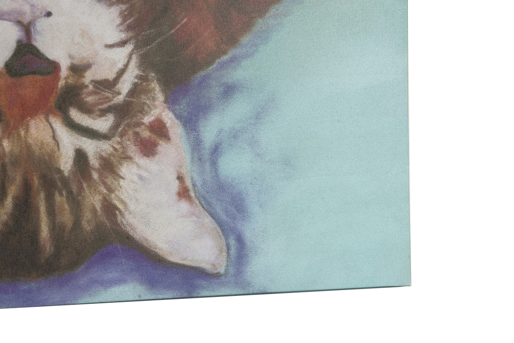 After Pat Saunders White Giclee Titled "Little Napper"