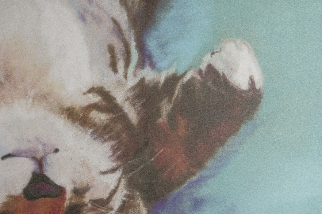 After Pat Saunders White Giclee Titled "Little Napper"