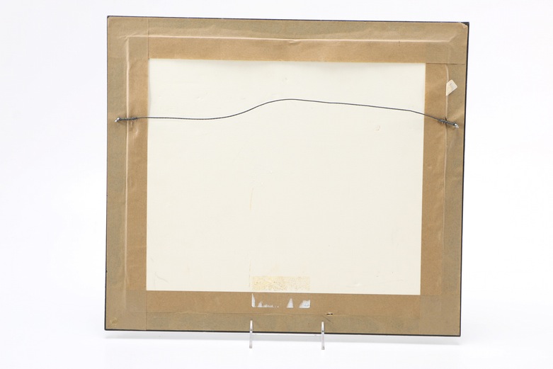 Hand-Colored Etching Map of Eastern States