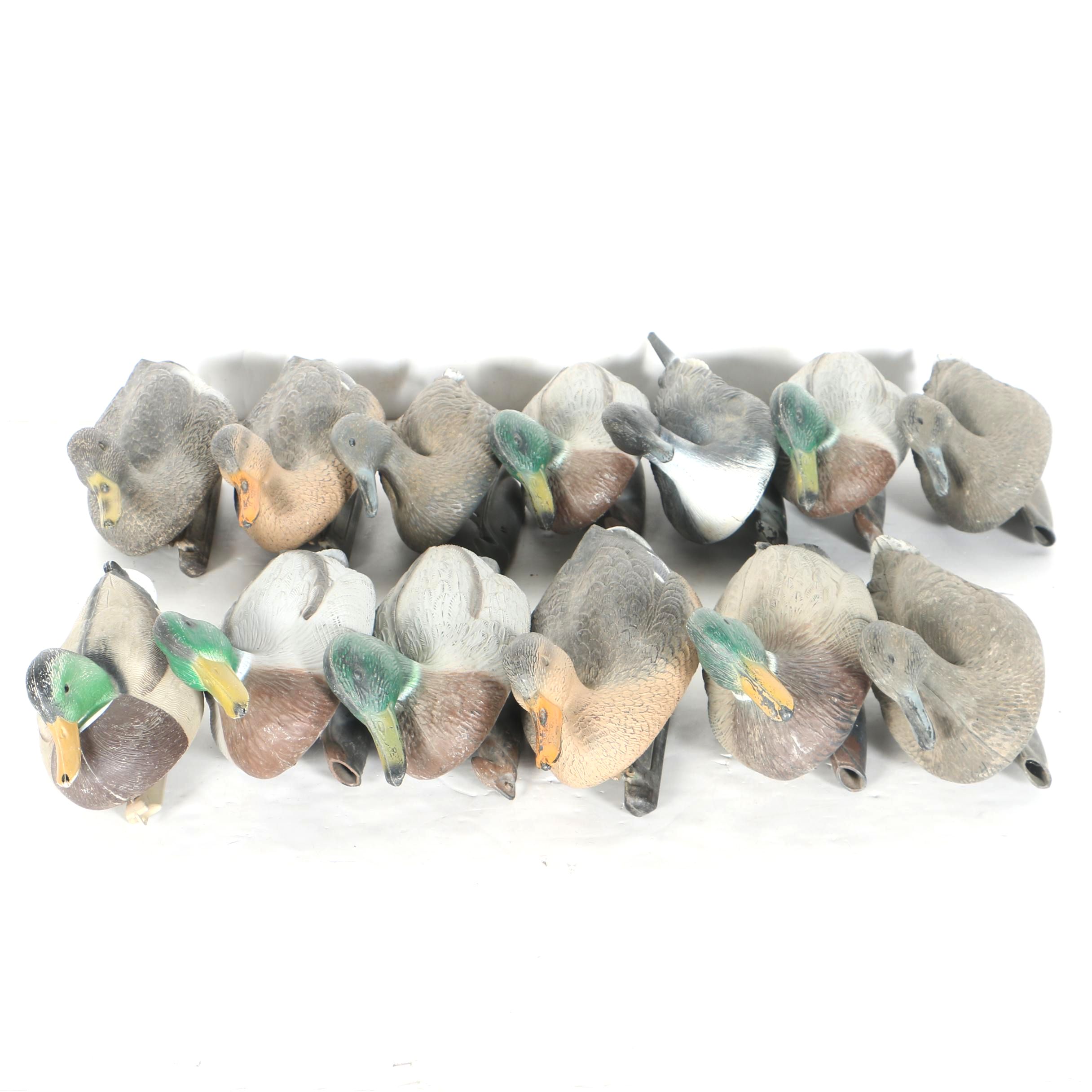 Collection of Duck Decoys
