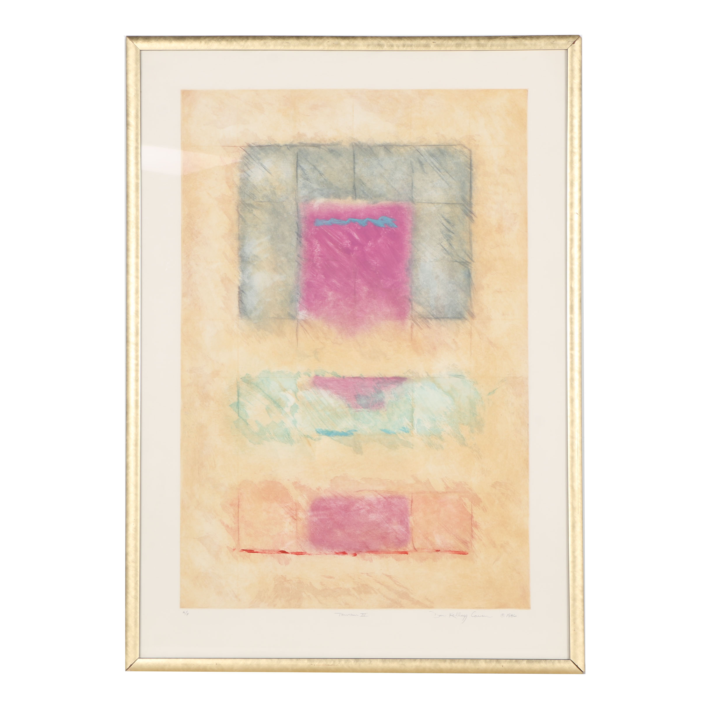 Dan Kellogg Cowan Artist Proof Lithograph "Terrain III"