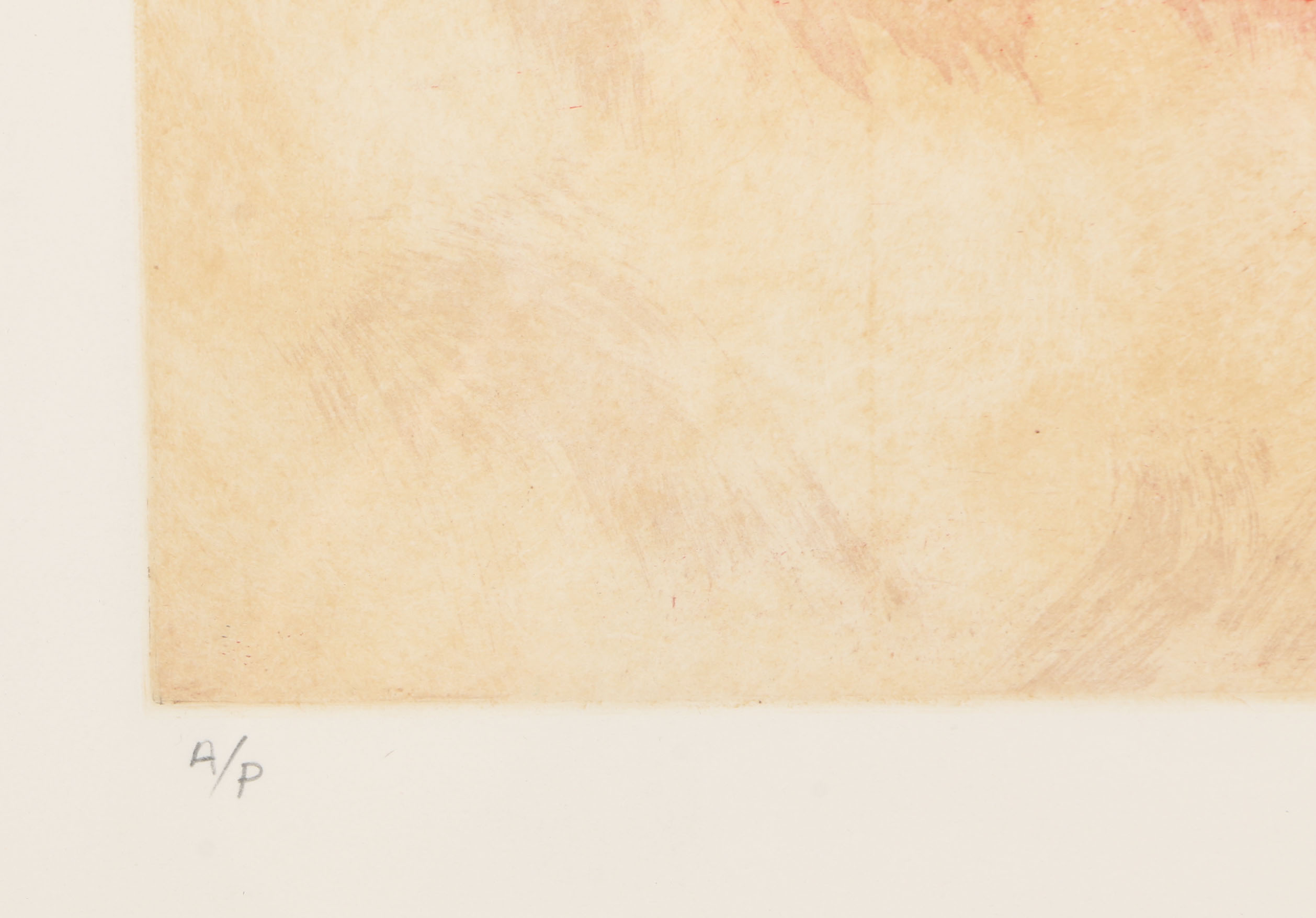 Dan Kellogg Cowan Artist Proof Lithograph "Terrain III"