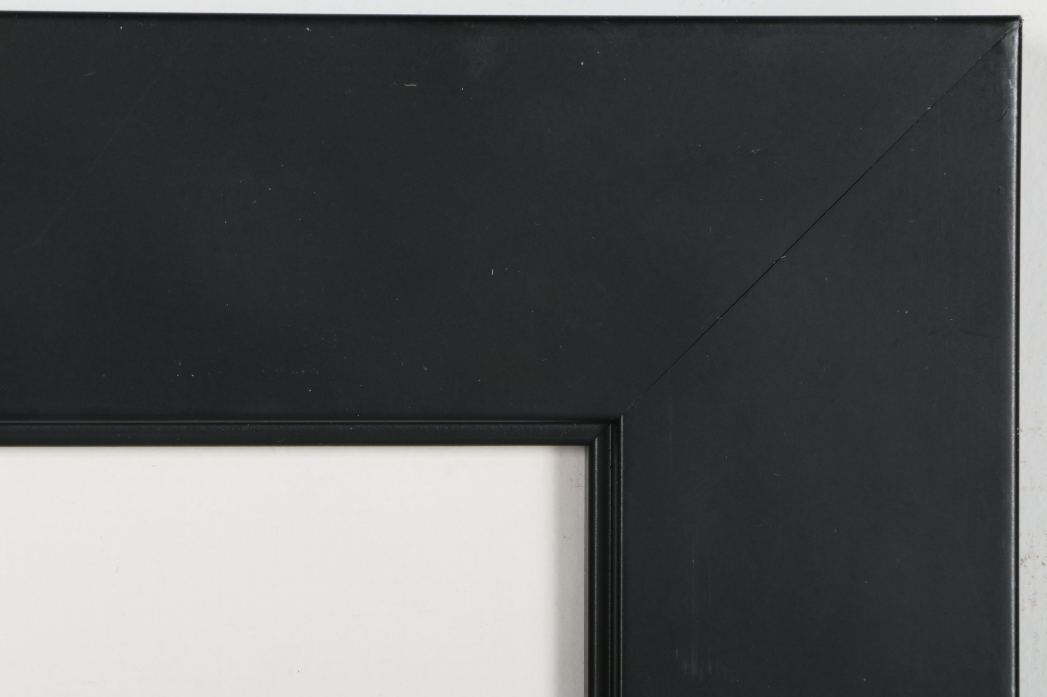 After Ansel Adams Photograph "Oak Tree, Sunset City, California, 1932"