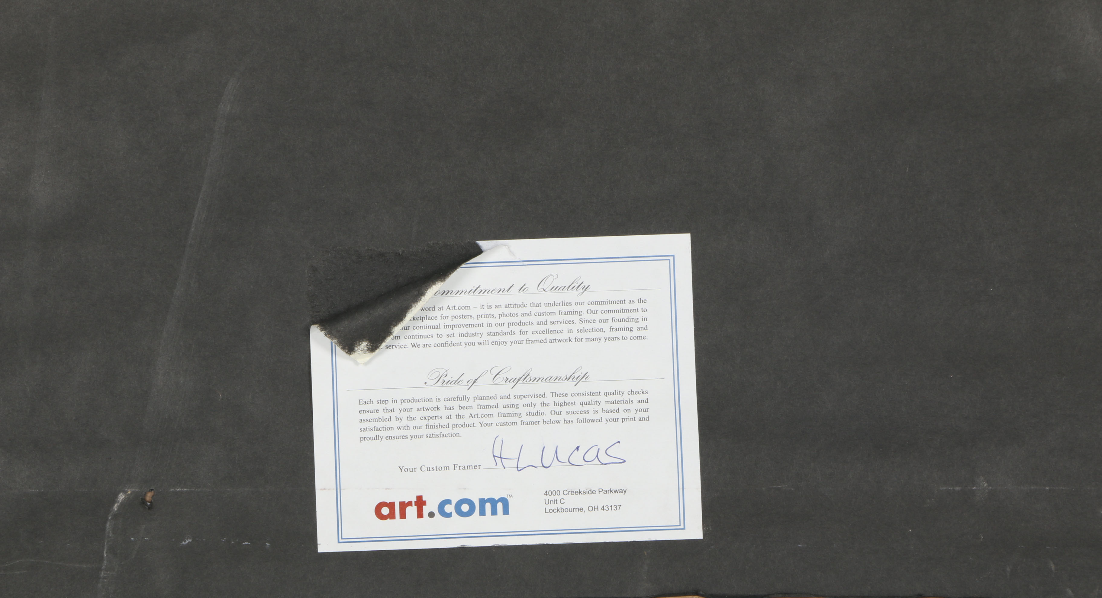 After Ansel Adams Photograph "Oak Tree, Sunset City, California, 1932"