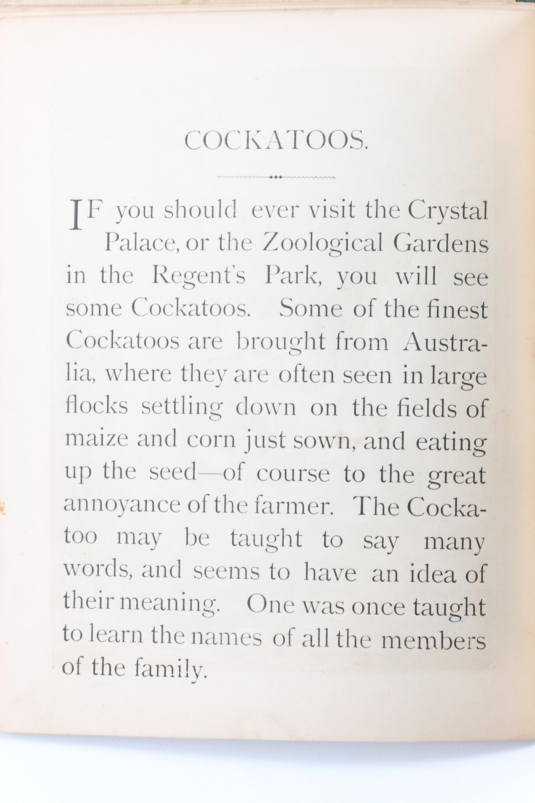 Collection of Vintage Children's Books