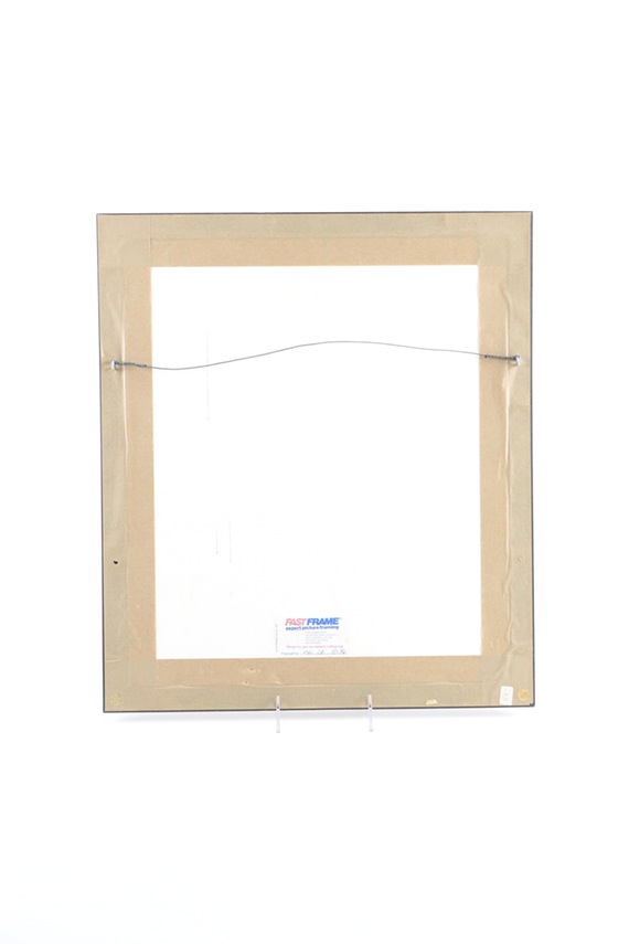 Framed Hand-Colored Etching "The Counties of Argyle and Bute"