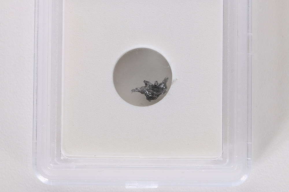 Encapsulated Meteorite