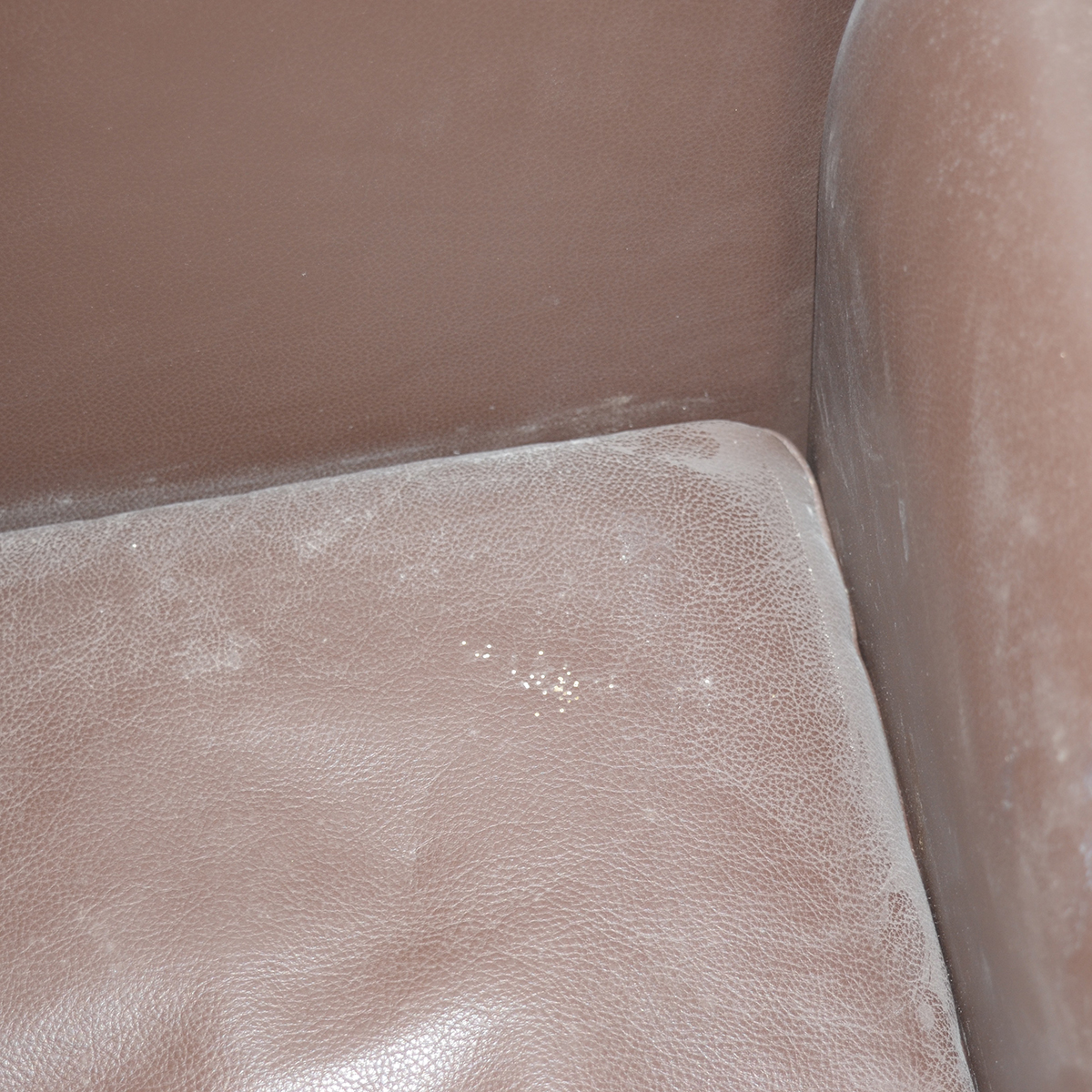 Modernist Style Brown Leather Armchair by Cassina