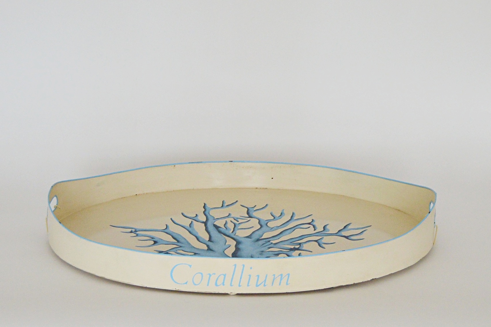 JM Piers Coral Tole Tray