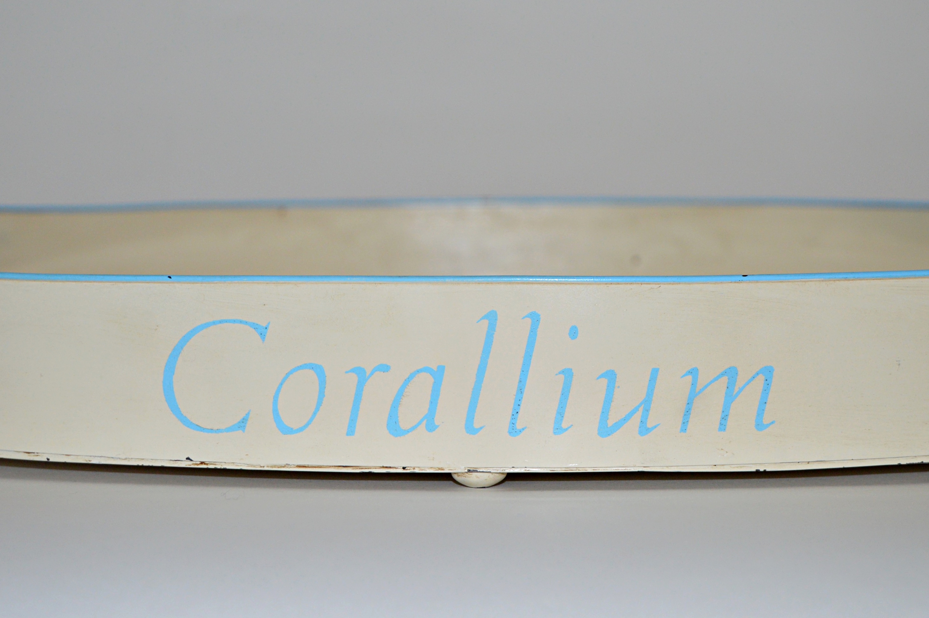 JM Piers Coral Tole Tray