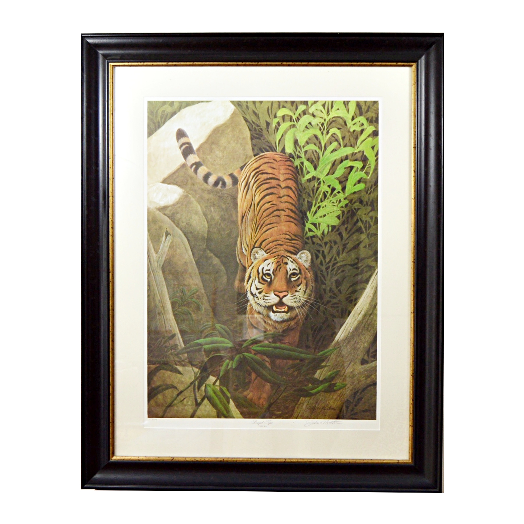 John Ruthven Limited Edition Offset Lithograph "Bengal Tiger"