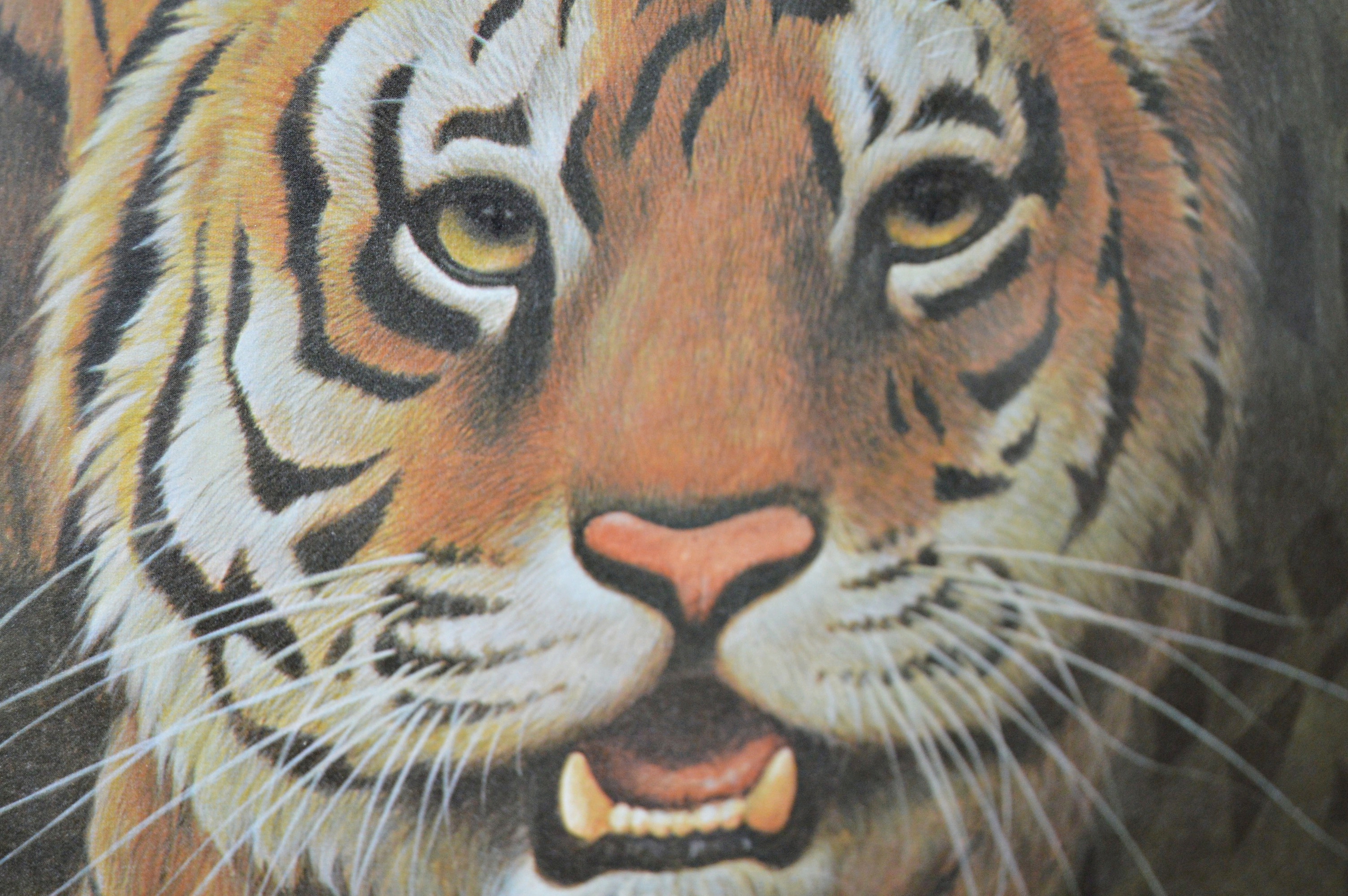John Ruthven Limited Edition Offset Lithograph "Bengal Tiger"