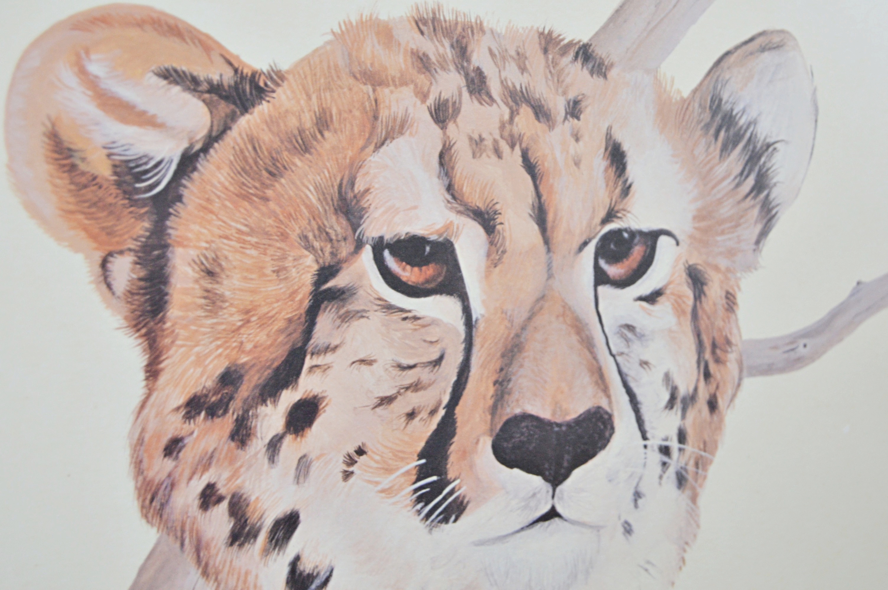 Les LeFevre Limited Edition Offset Lithograph "Cheetah"