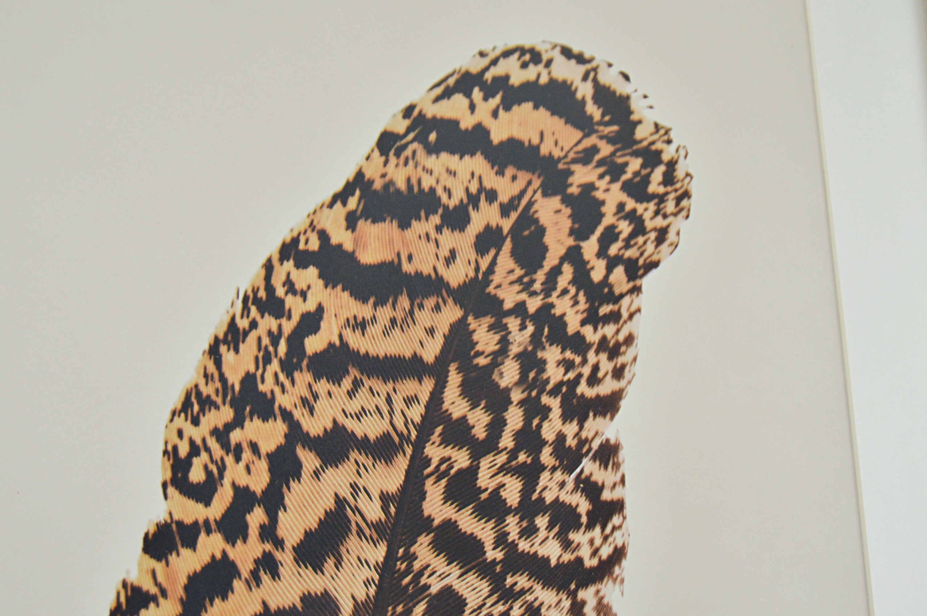 Large Scale Feather Offset Lithograph