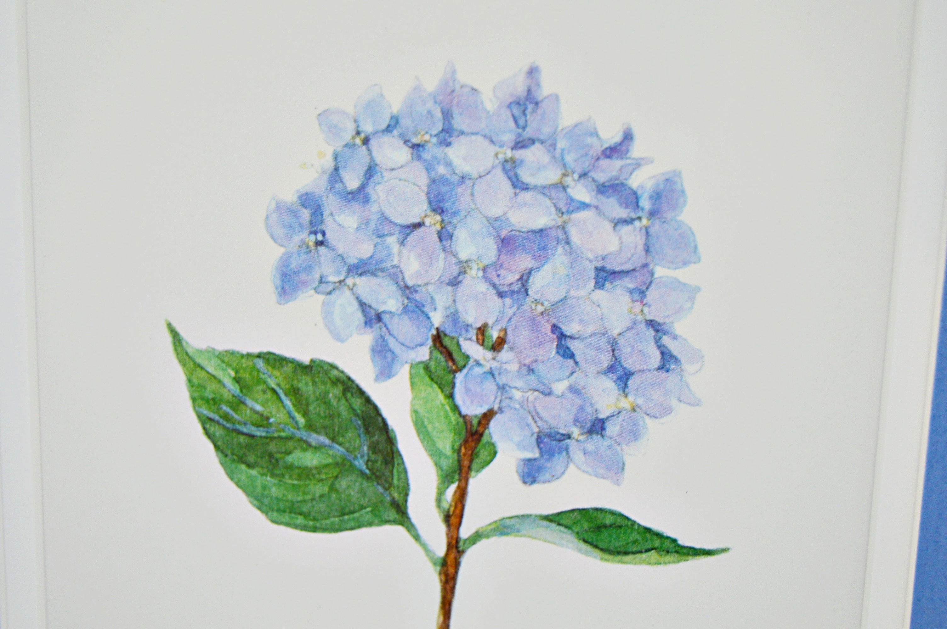 S.E. Roberts Offset Lithograph