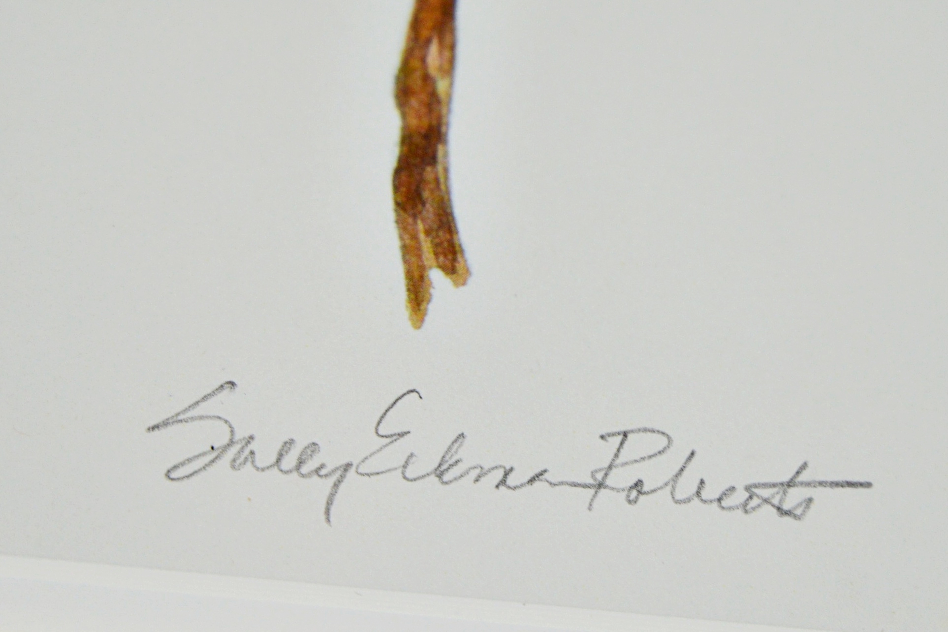 S.E. Roberts Offset Lithograph