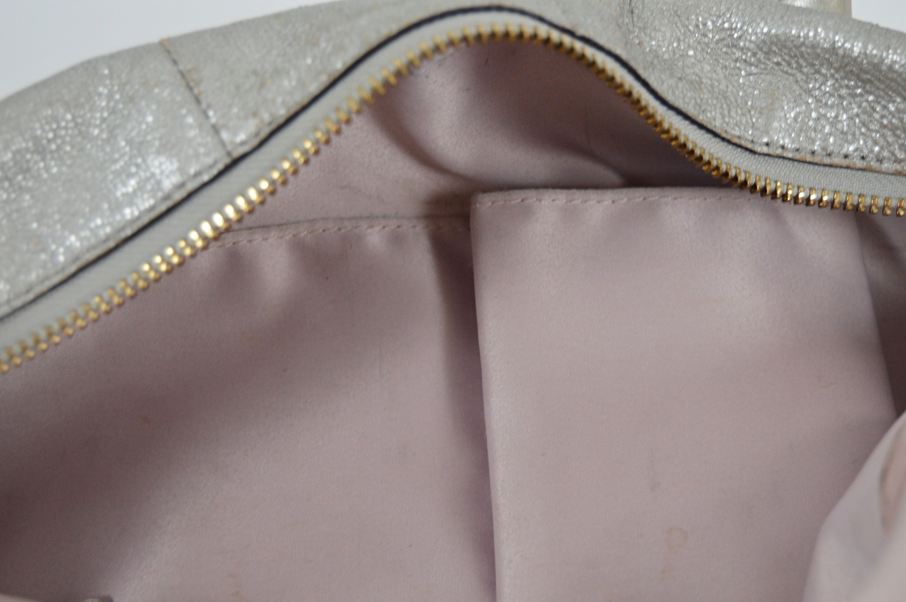 Metallic Coach Shoulder Bag