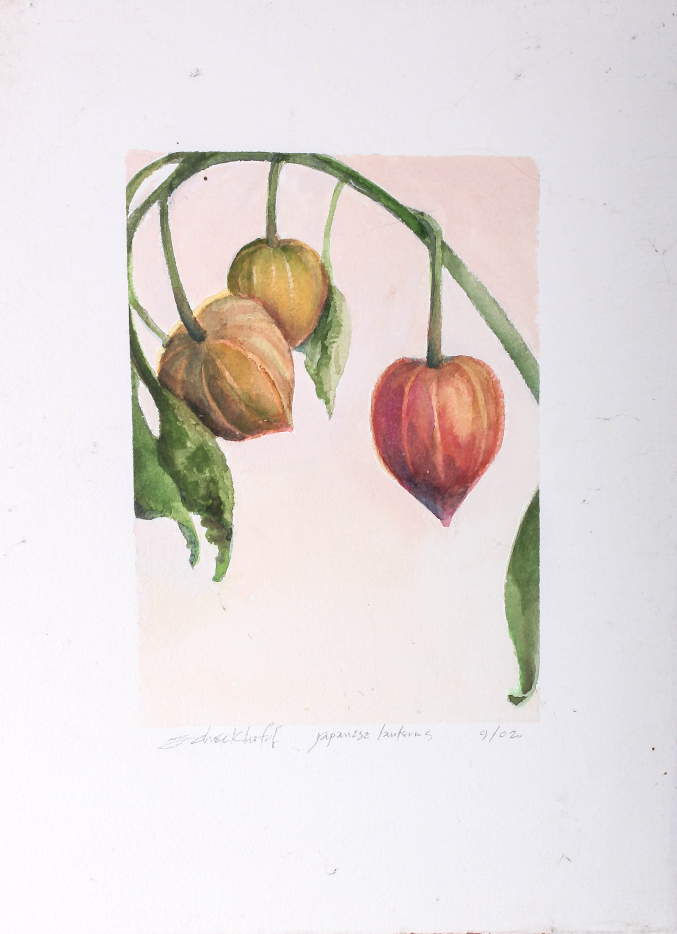 "Japanese Lanterns" Watercolor Painting