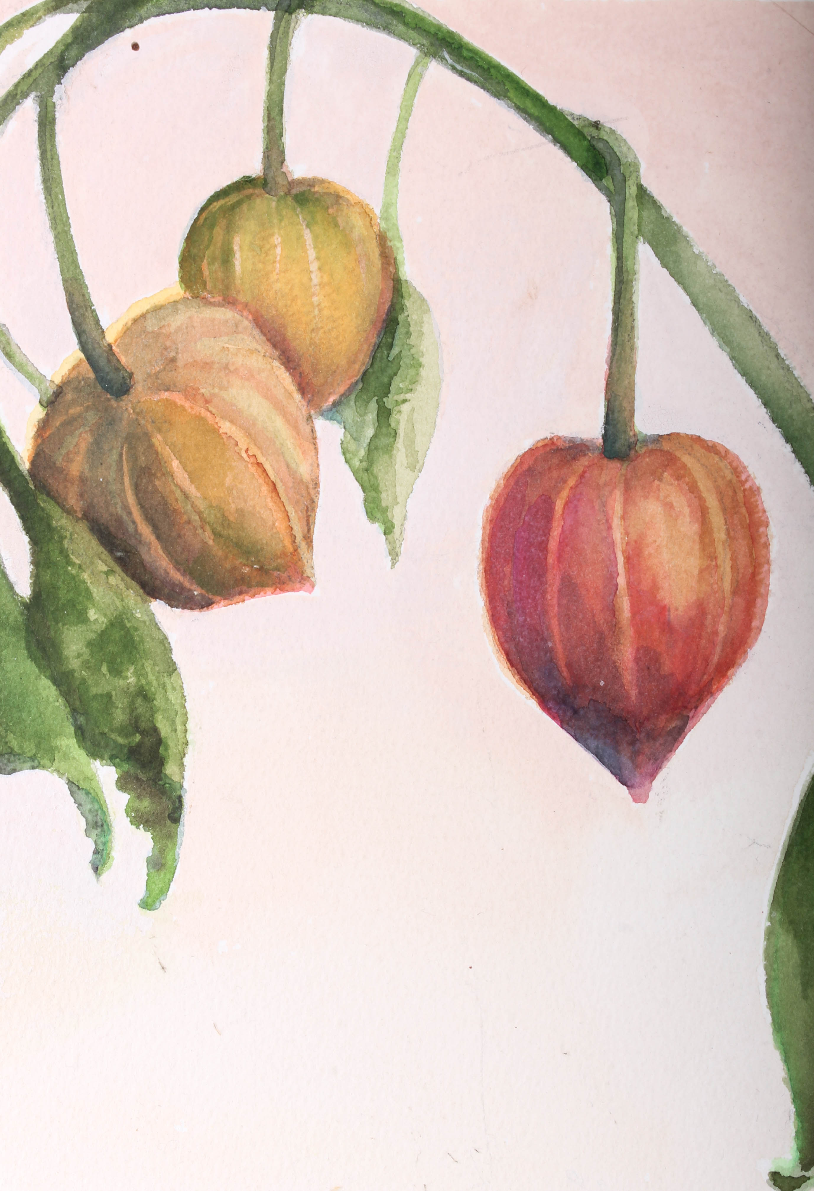 "Japanese Lanterns" Watercolor Painting