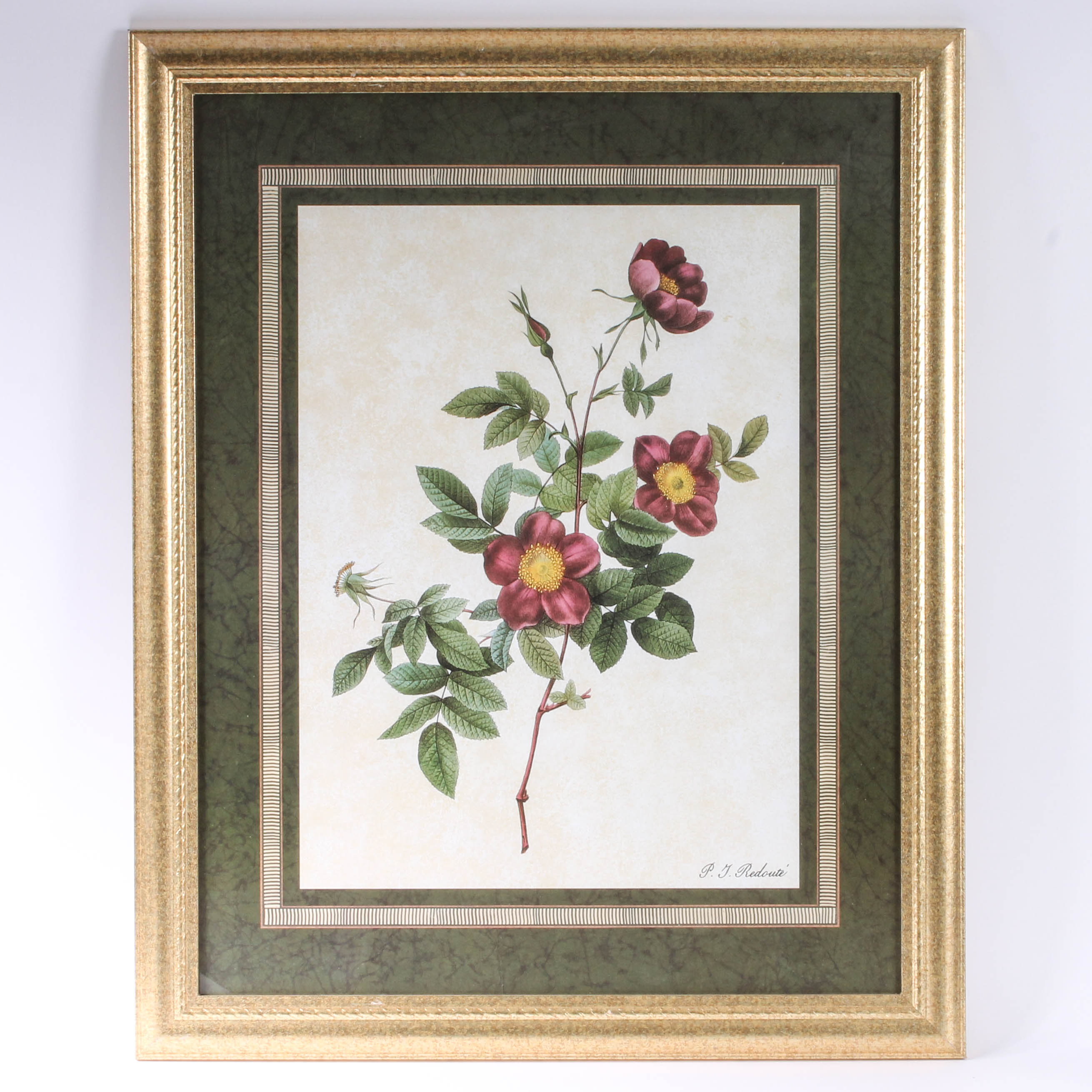 Pair of Floral Framed Prints