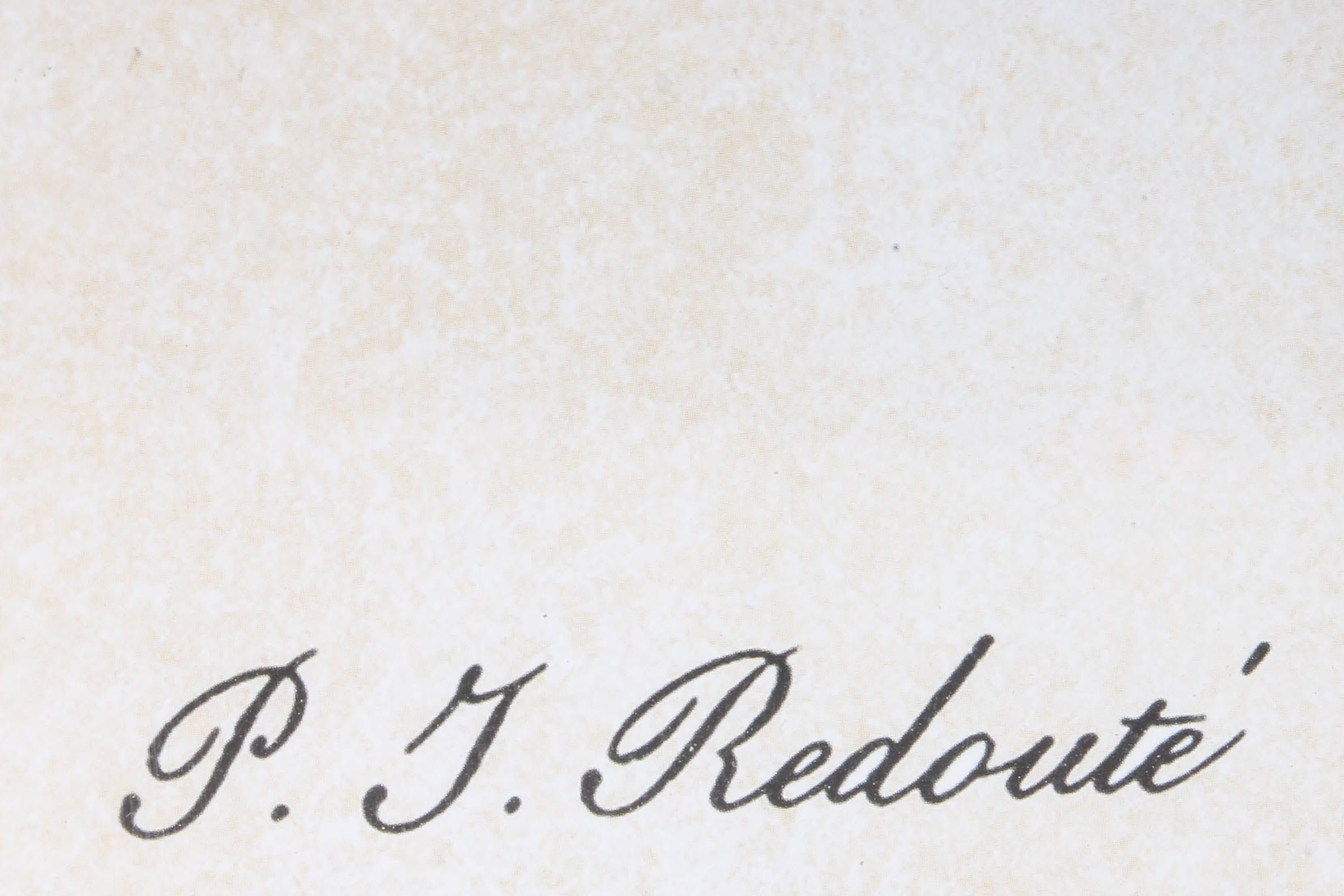 Pair of Floral Framed Prints