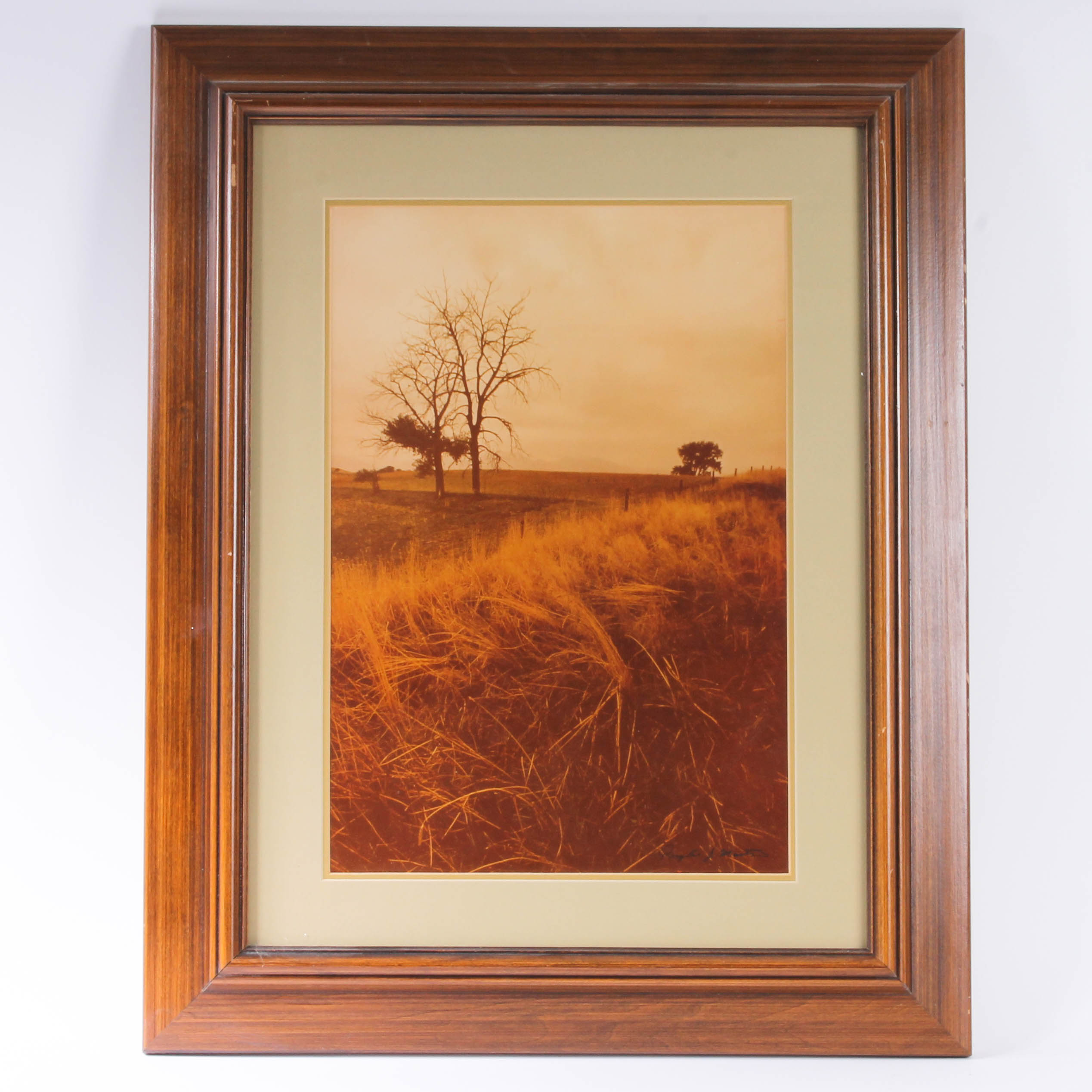 Pair of Framed Rustic Prints