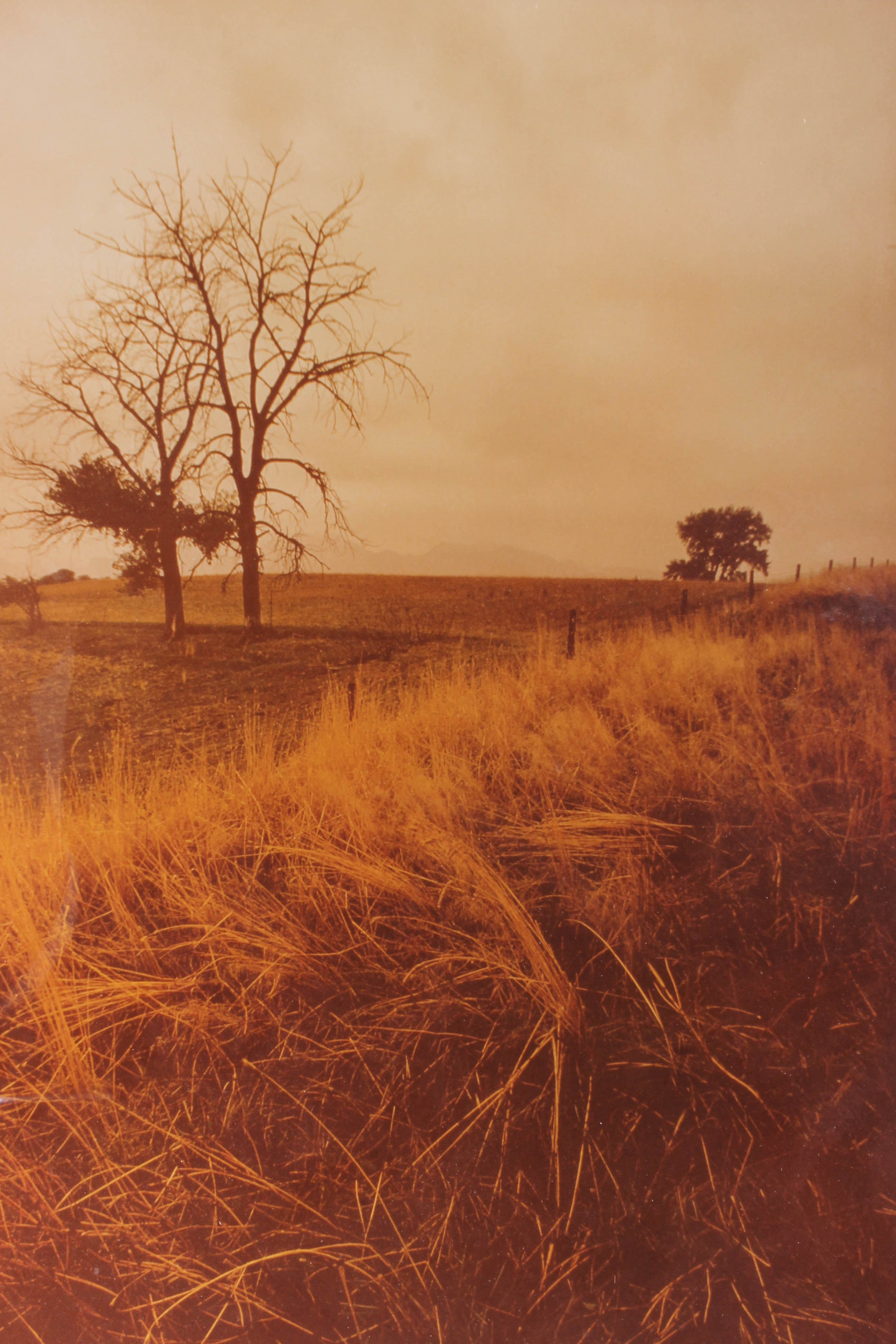 Pair of Framed Rustic Prints