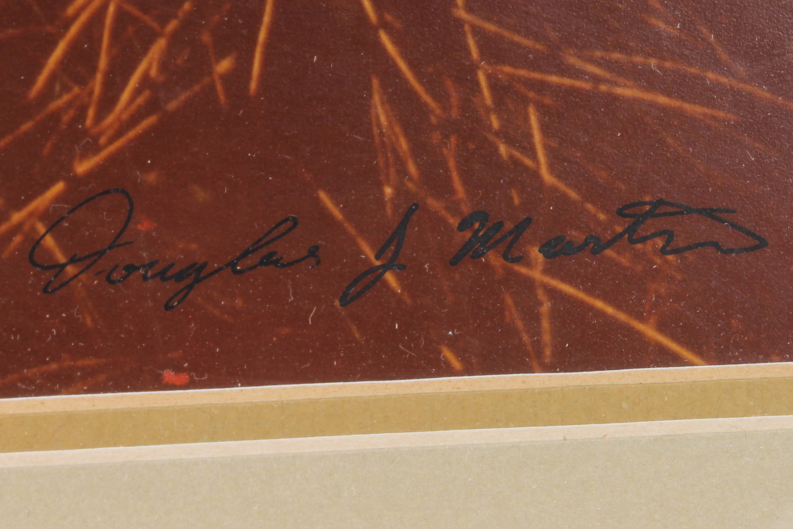 Pair of Framed Rustic Prints