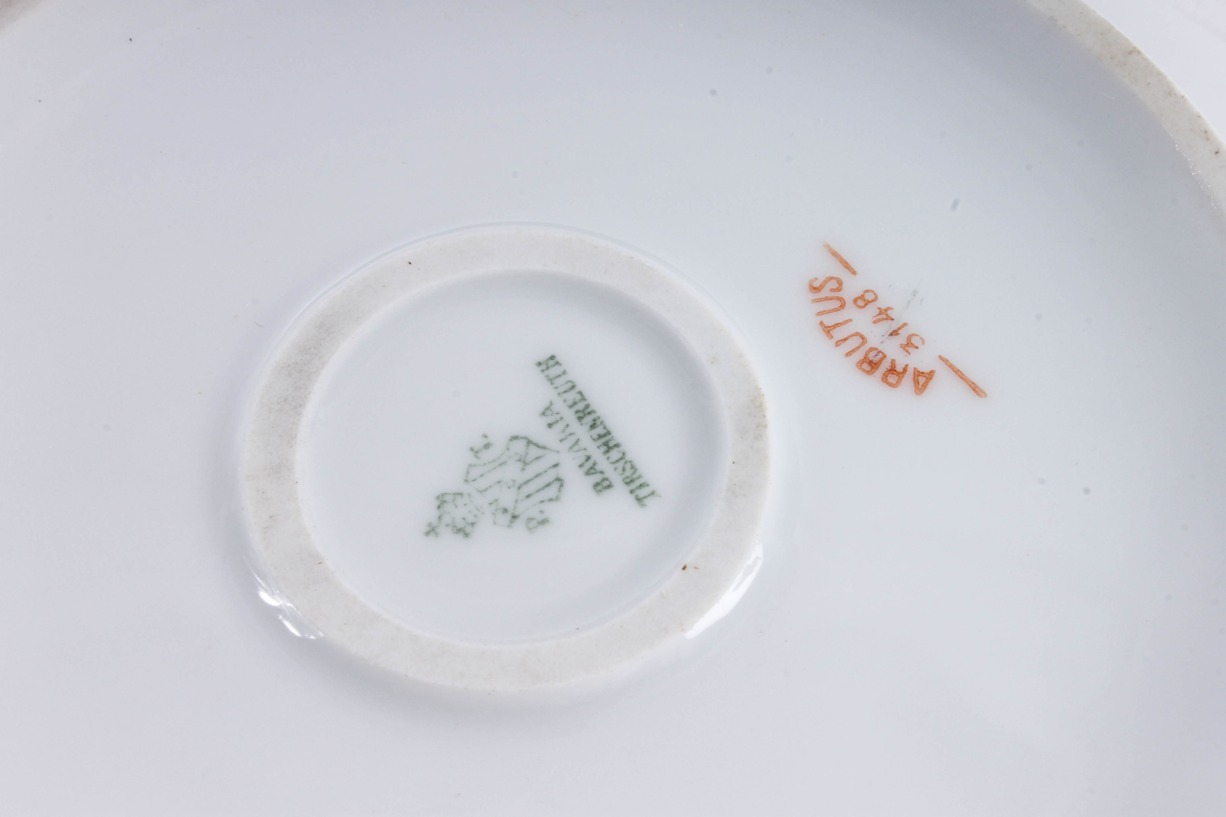 Assortment of Arbutus Bavarian China