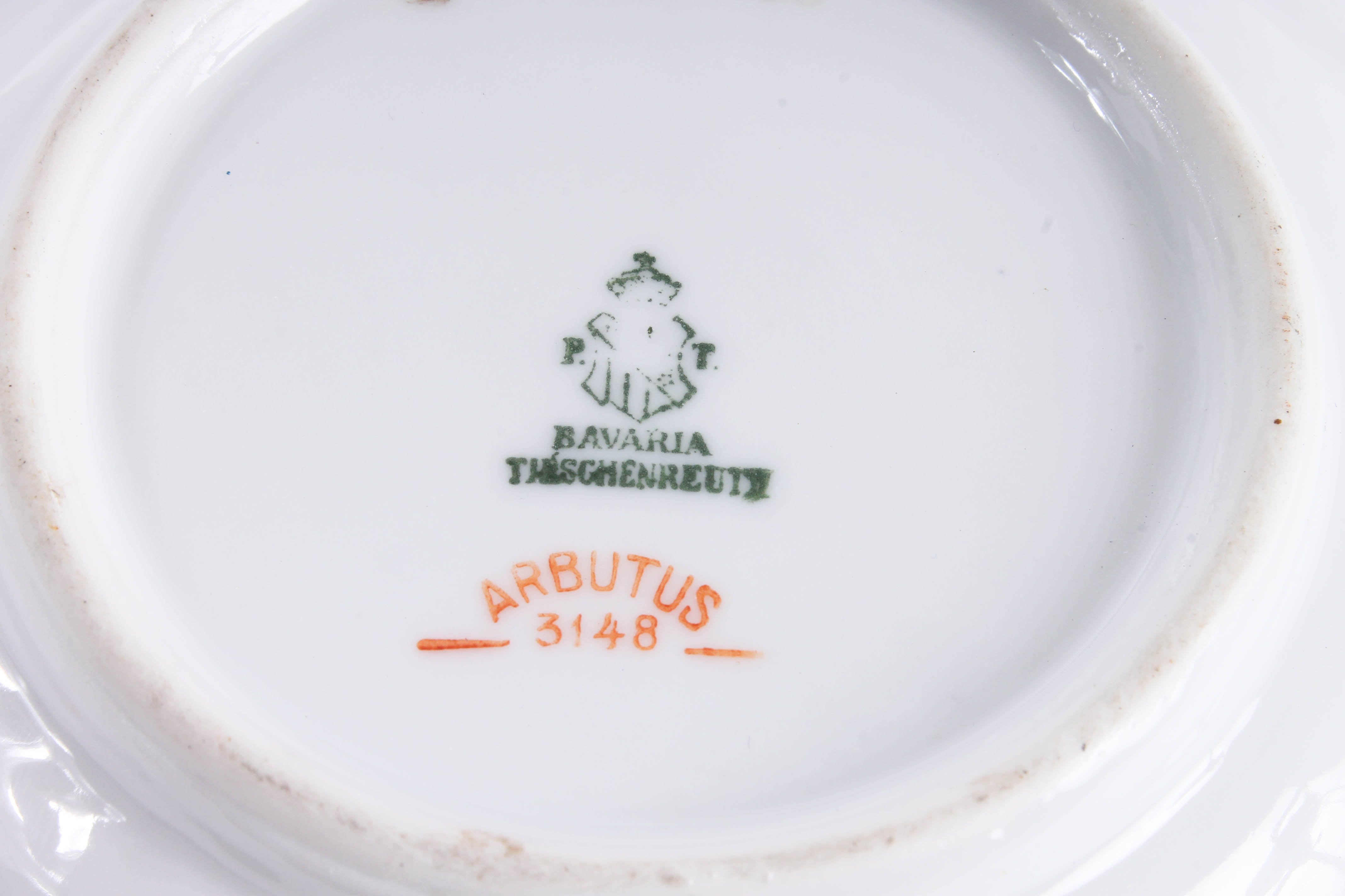 Assortment of Arbutus Bavarian China