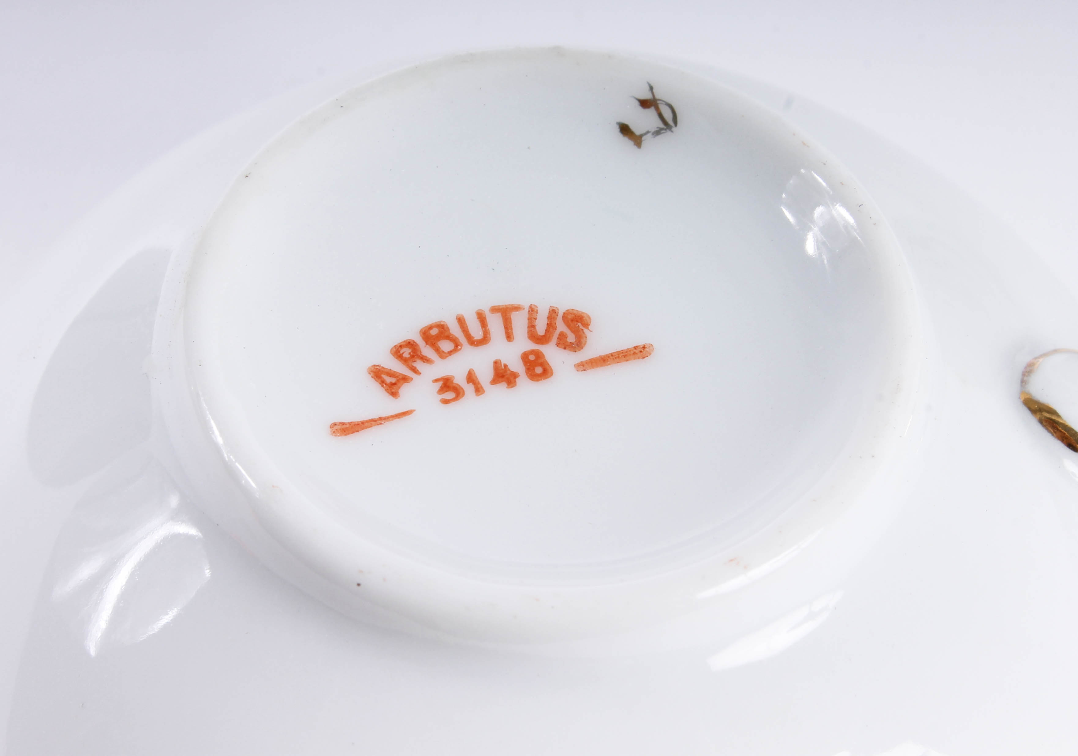 Assortment of Arbutus Bavarian China