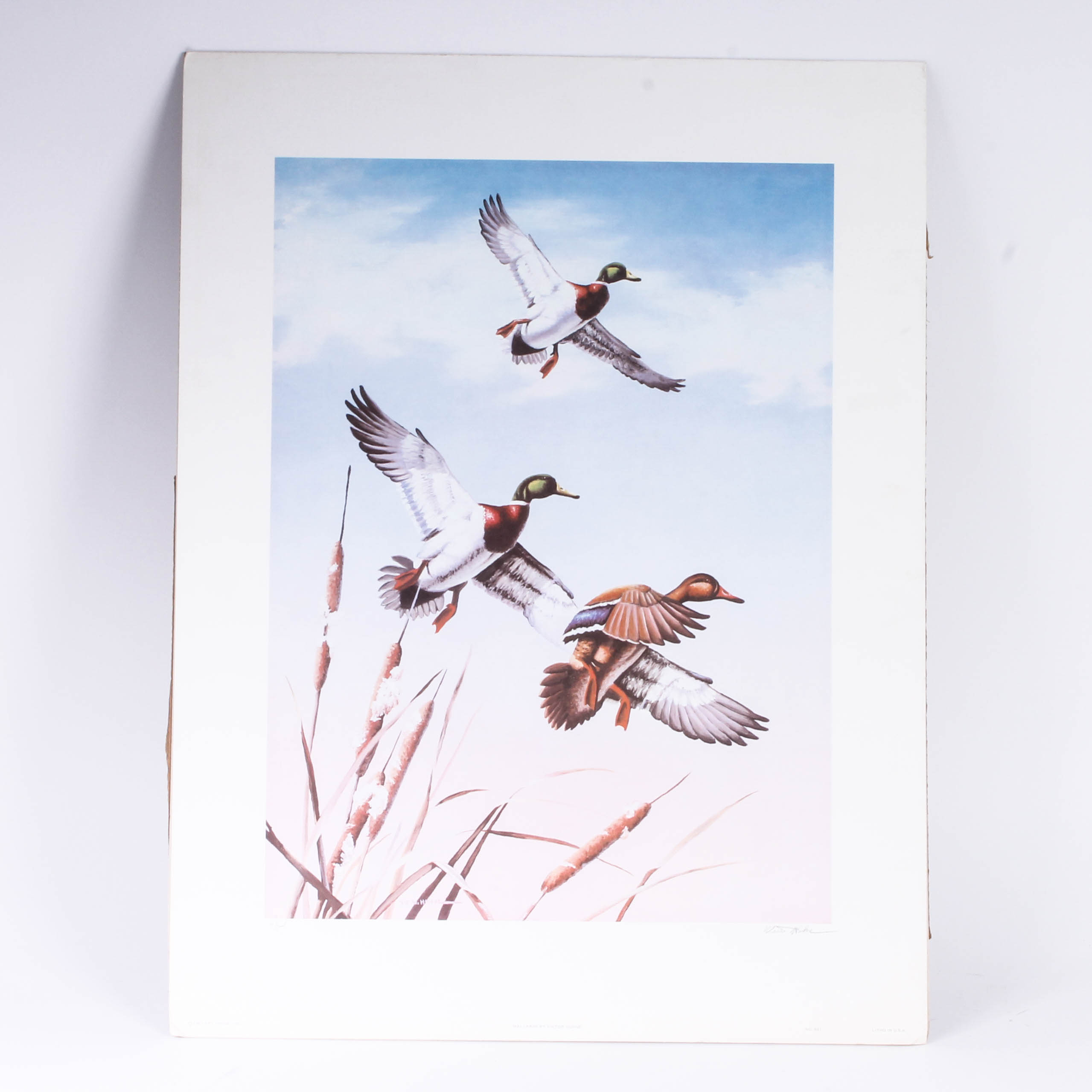 Victor Hohne "Mallards" Artist Proof