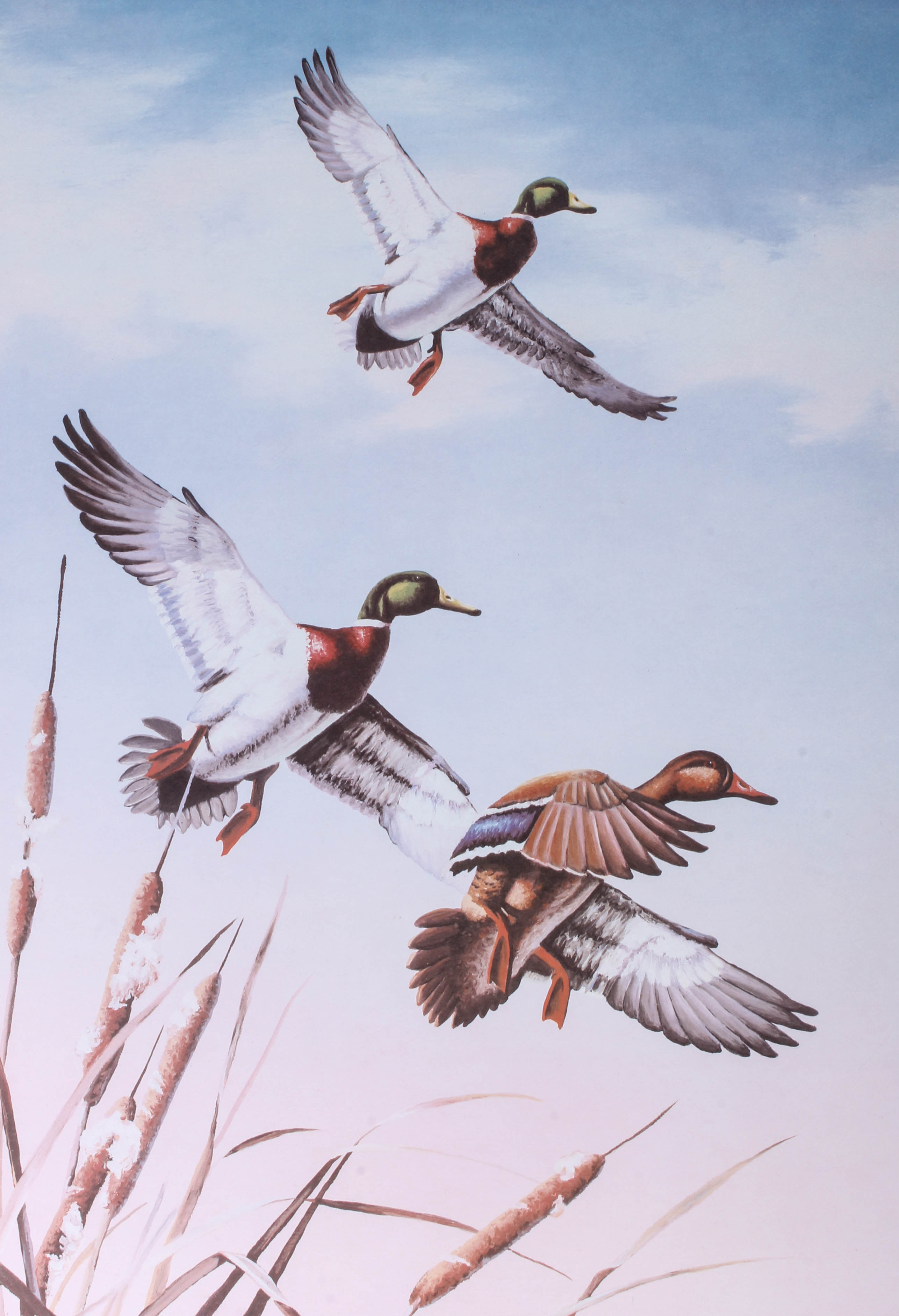 Victor Hohne "Mallards" Artist Proof