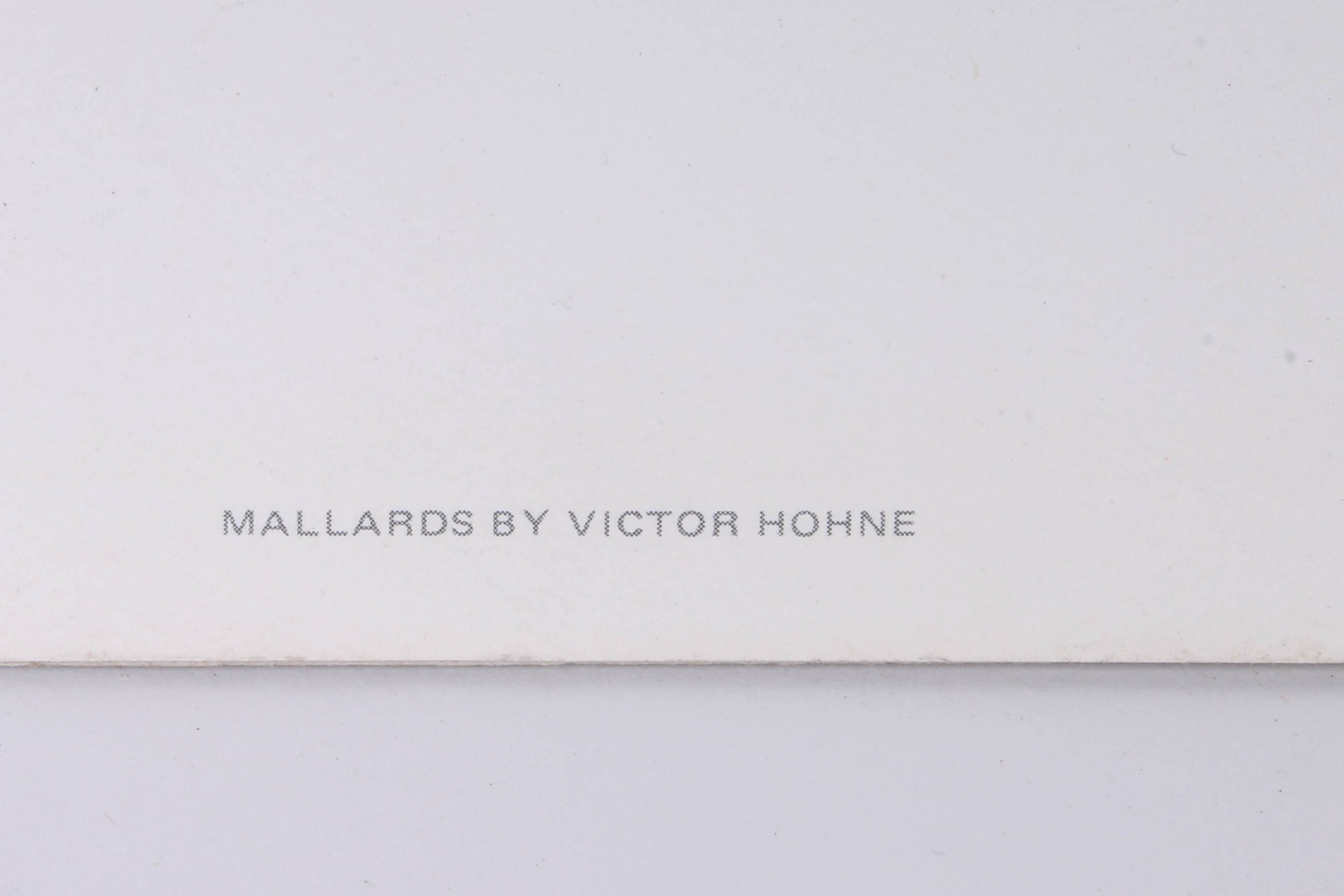 Victor Hohne "Mallards" Artist Proof