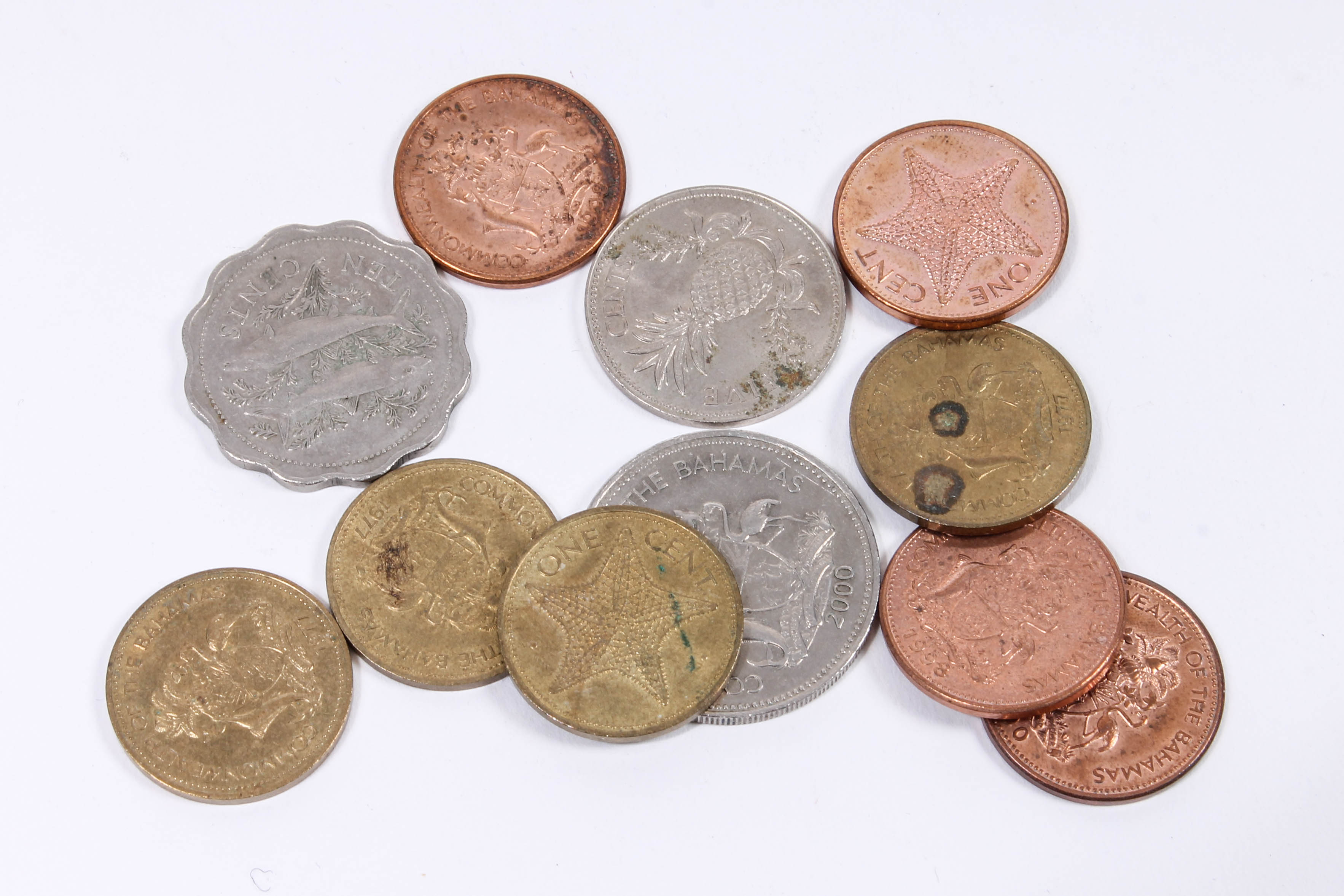 Large Collection of International Coins